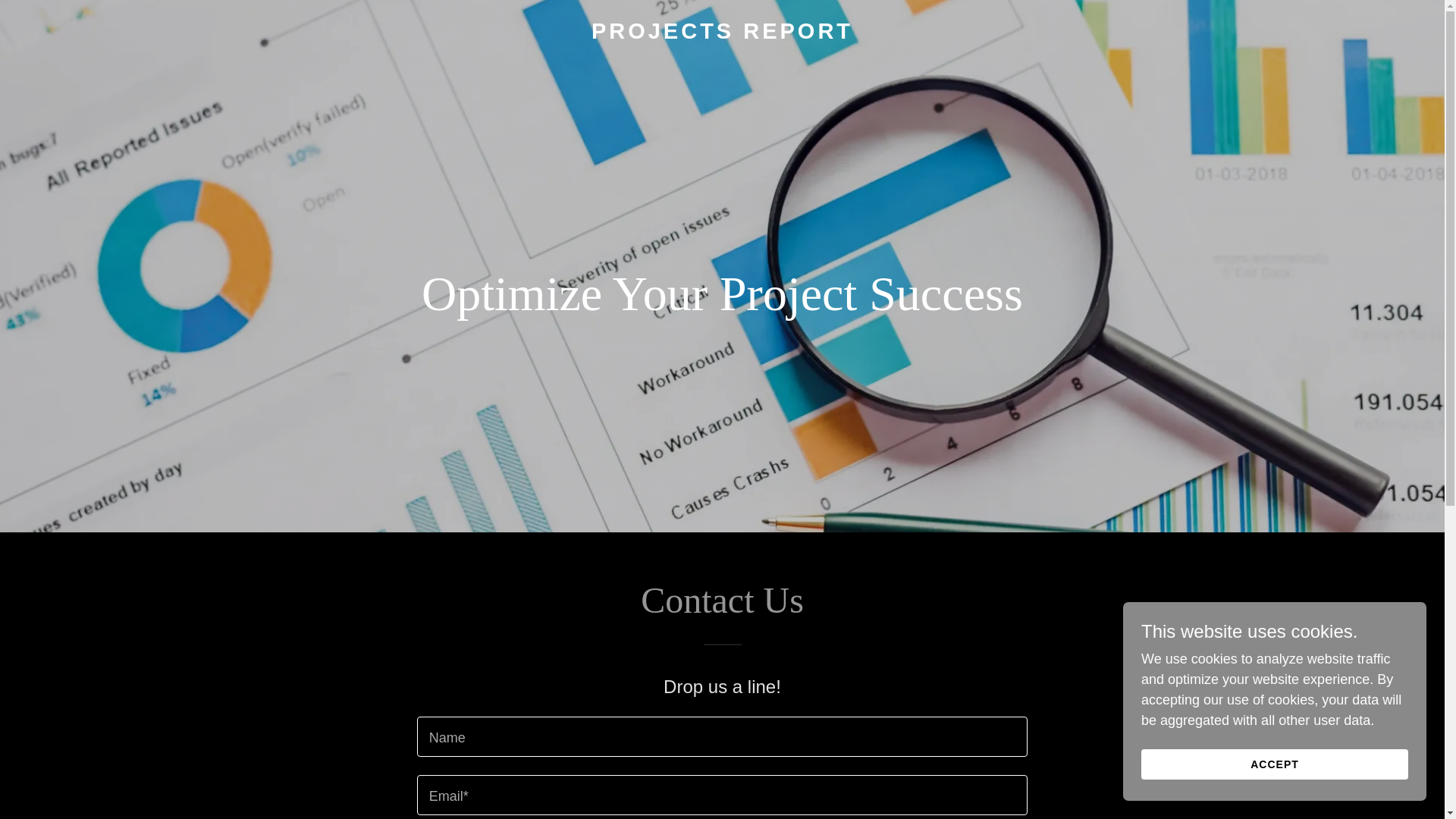 website screenshot of https://projects-report.com/