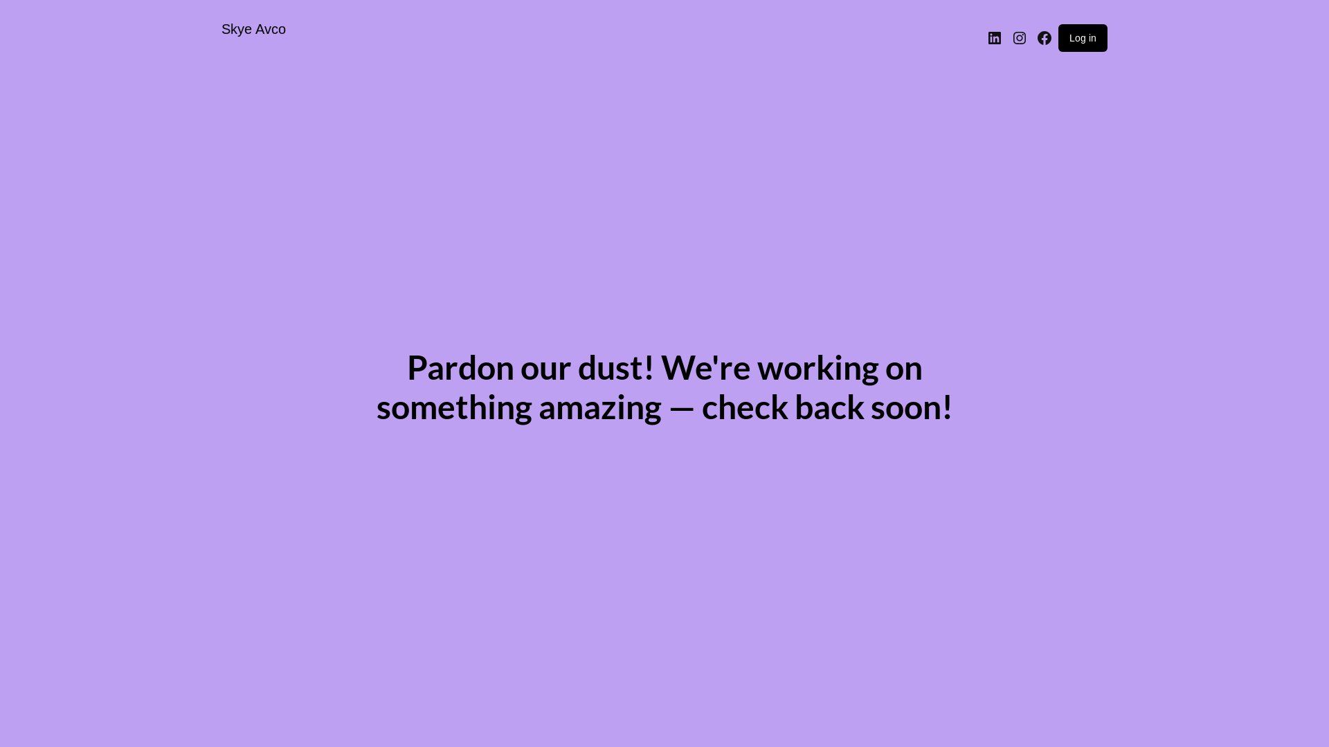 website screenshot of https://skyeavco.com/