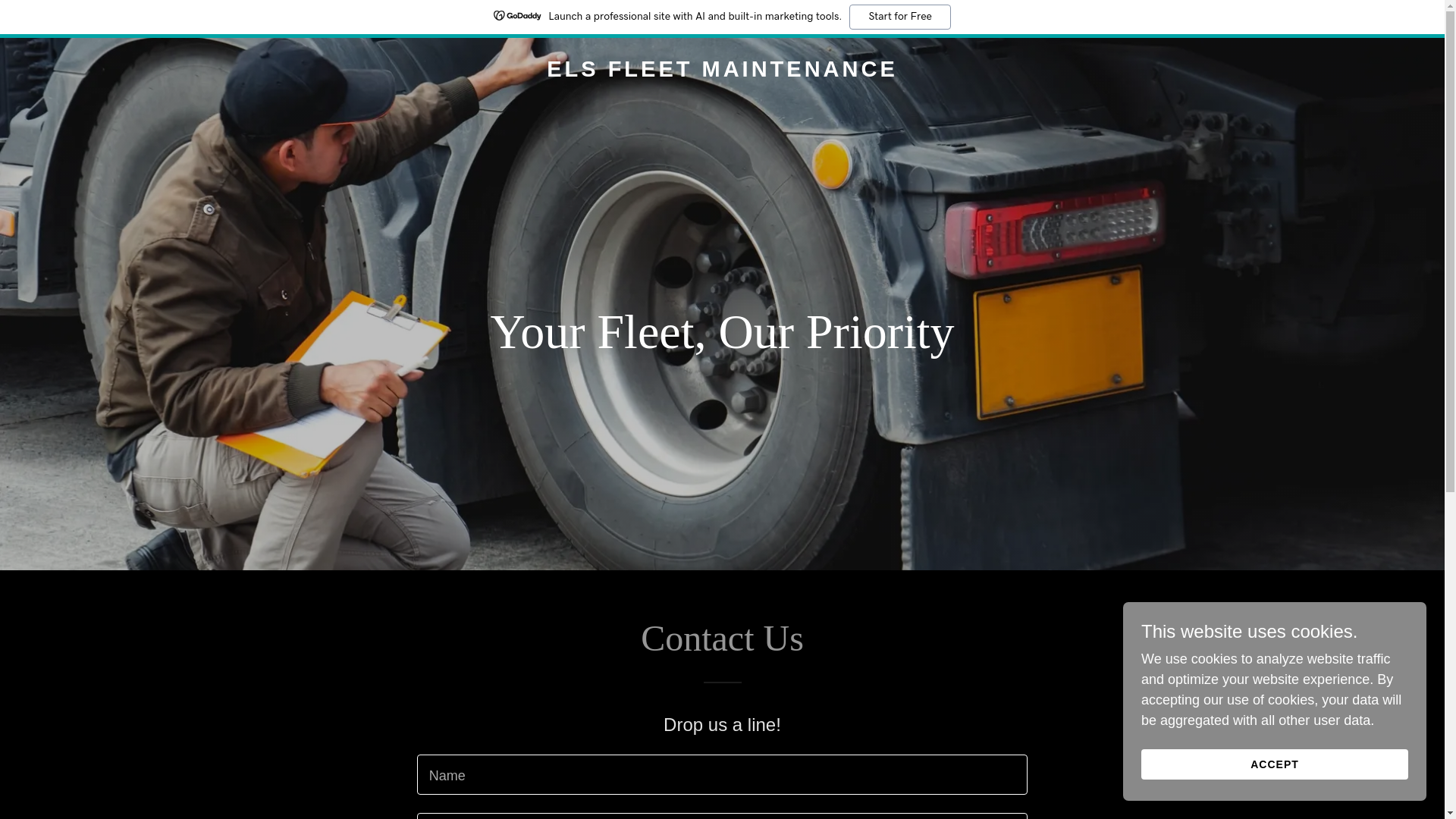 website screenshot of https://elsfleet.com/