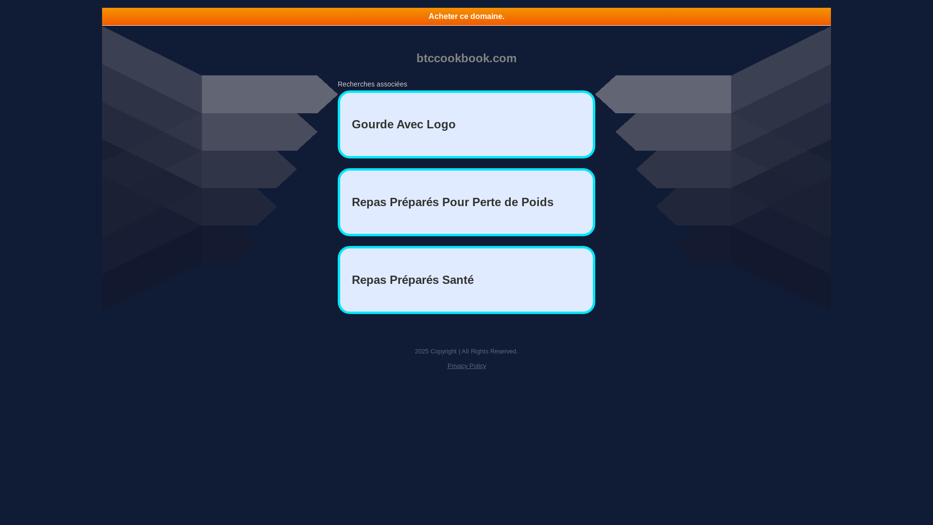website screenshot of https://btccookbook.com/