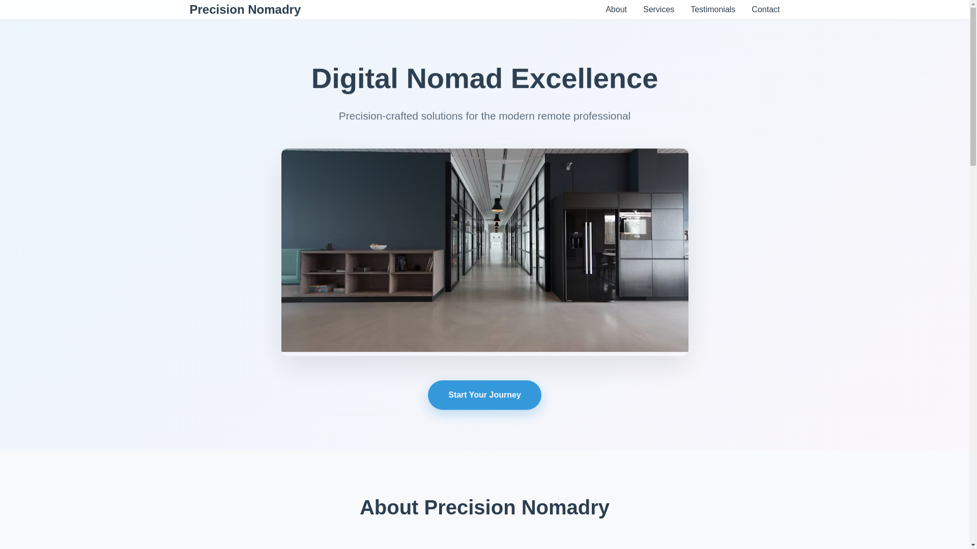 website screenshot of https://precisionnomadry.qpon/