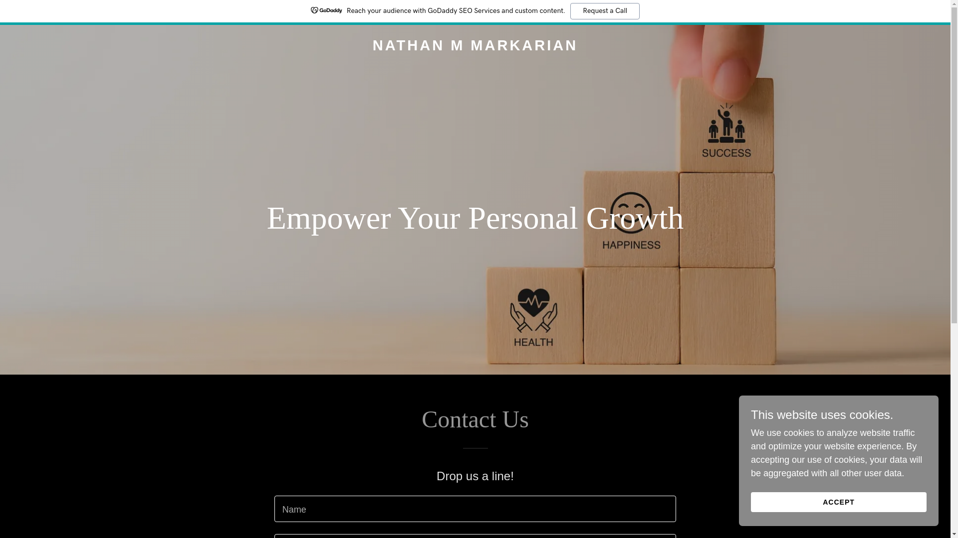 website screenshot of https://nathanmmarkarian.com/