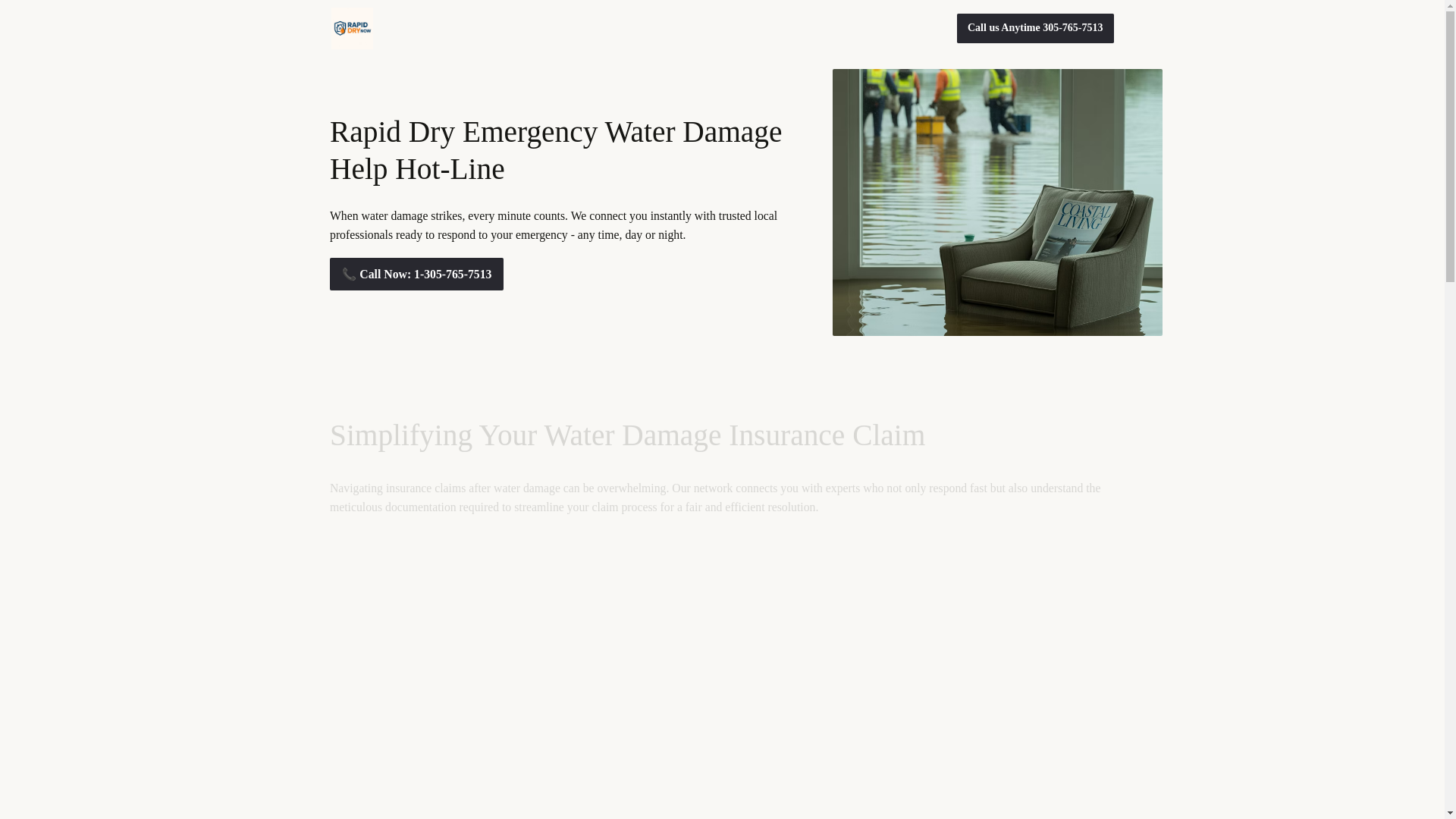 website screenshot of https://rapiddryteam.com/