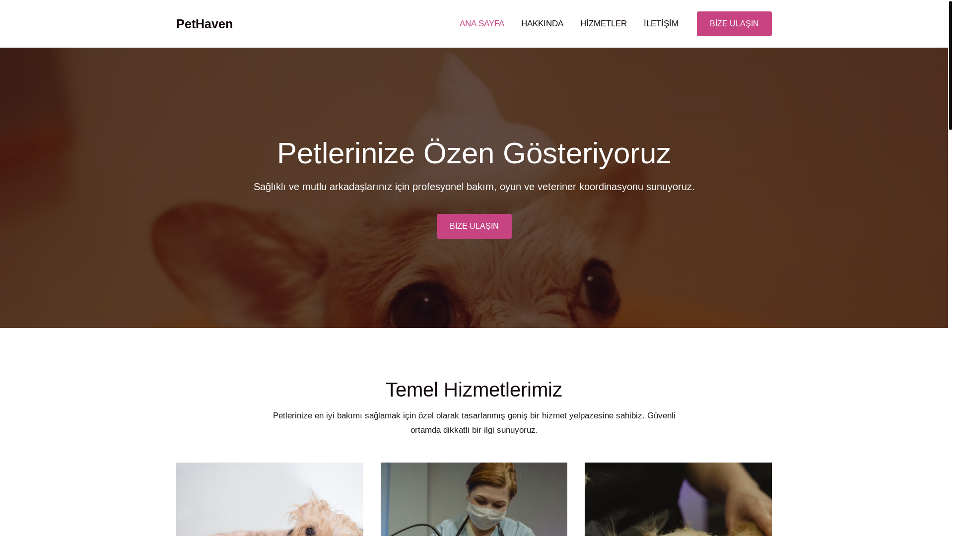 website screenshot of https://pethavenu.work/