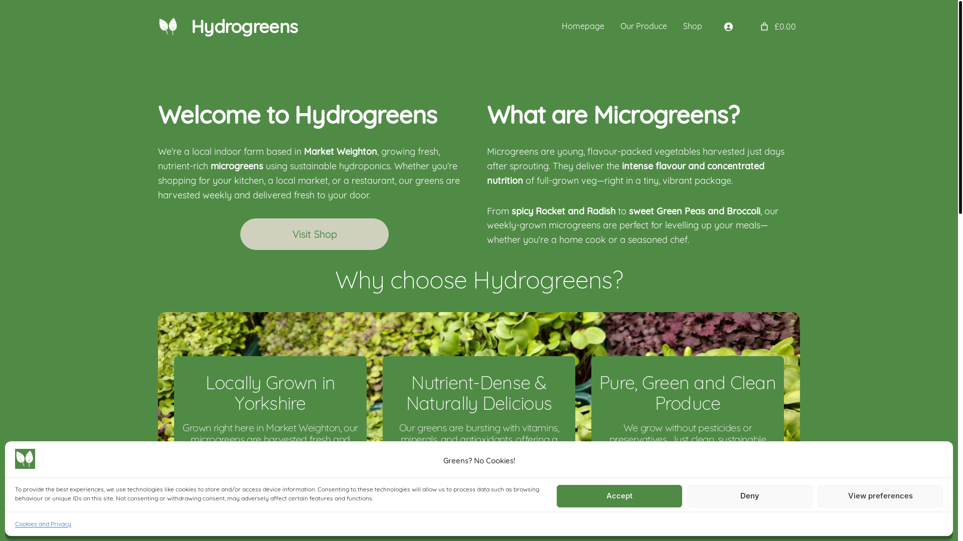 website screenshot of https://hydrogreens.co.uk/