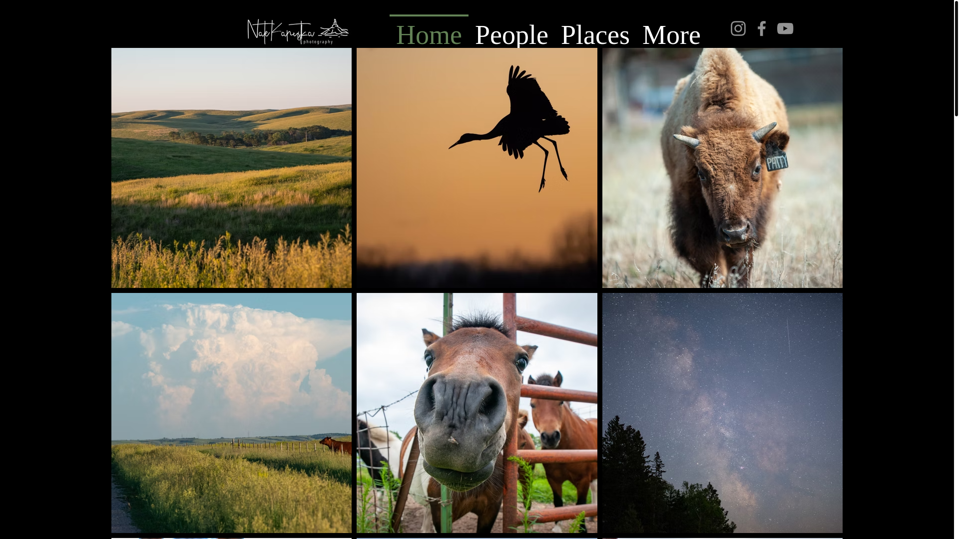 website screenshot of https://natekapustkaphotography.com/