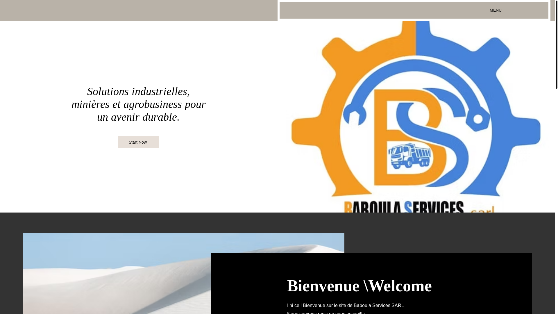 website screenshot of https://baboulaservices.com/