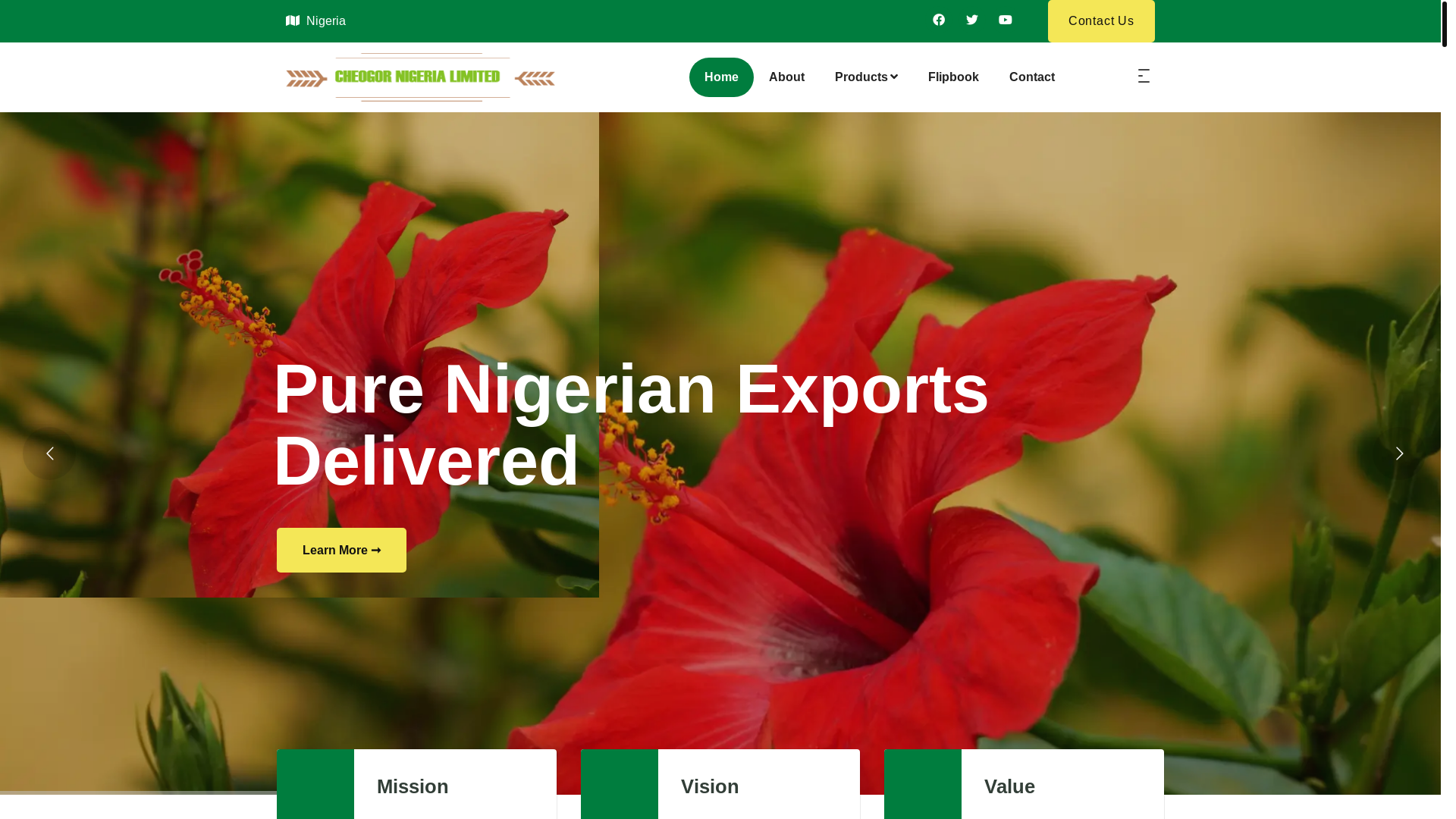 website screenshot of https://cheogorltd.com/