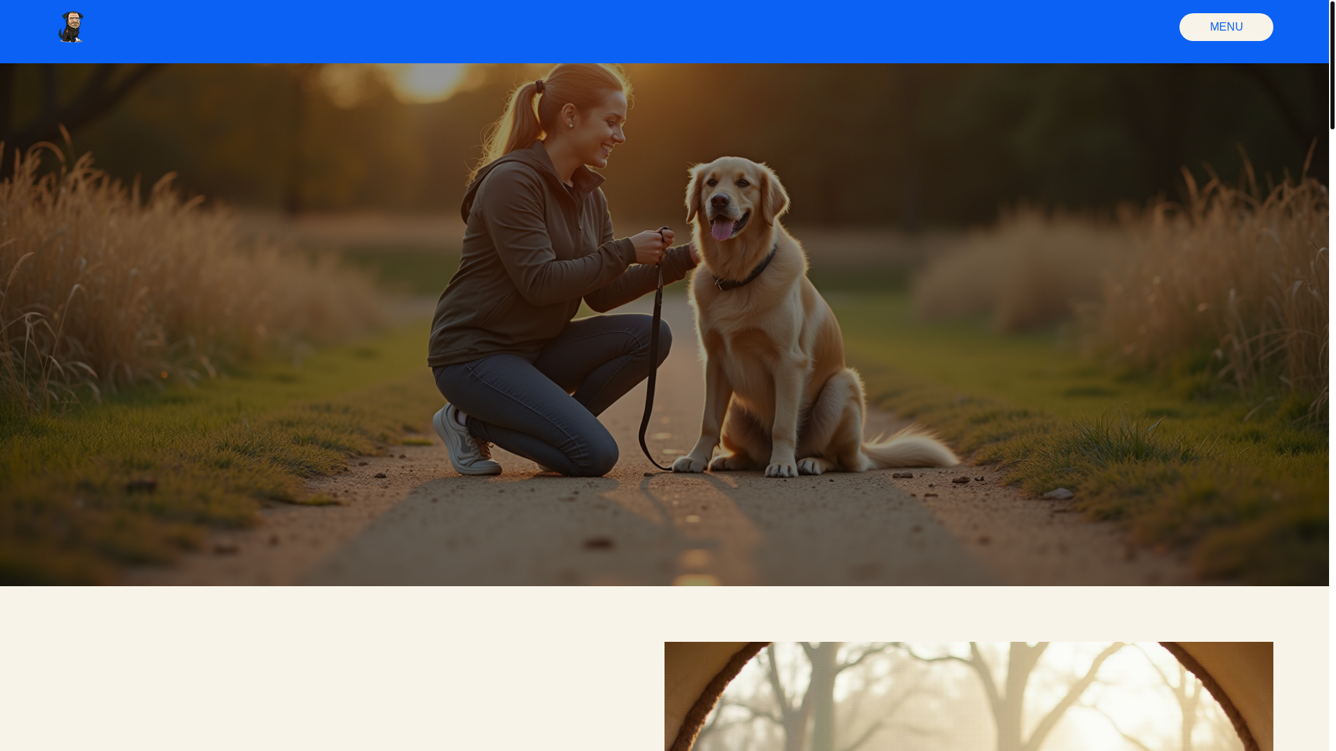website screenshot of https://focusedpawstraining.com/