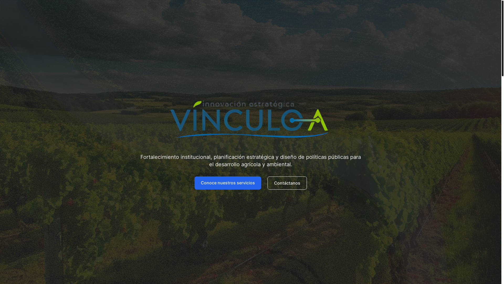 website screenshot of https://vinculoa.pages.dev/