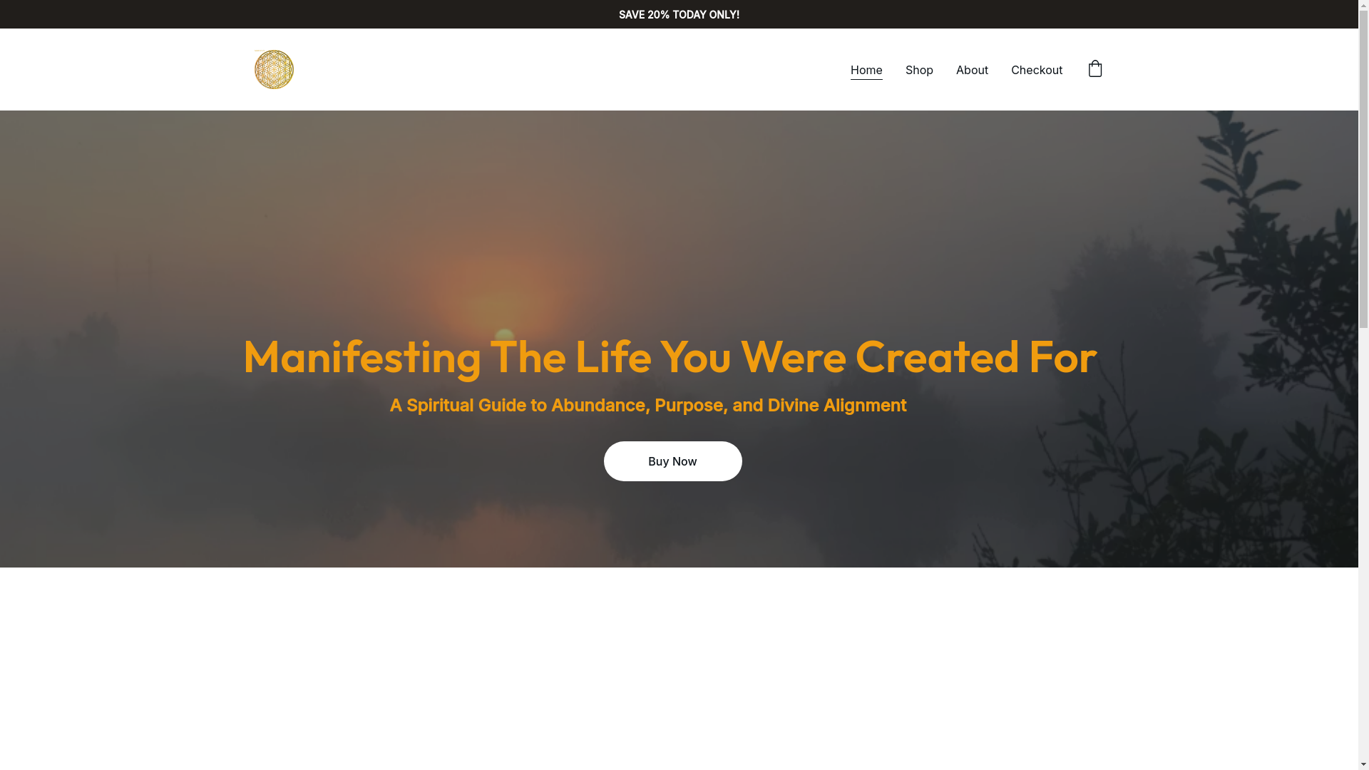 website screenshot of https://manifestingthelifeyouwerecreatedfor.com/