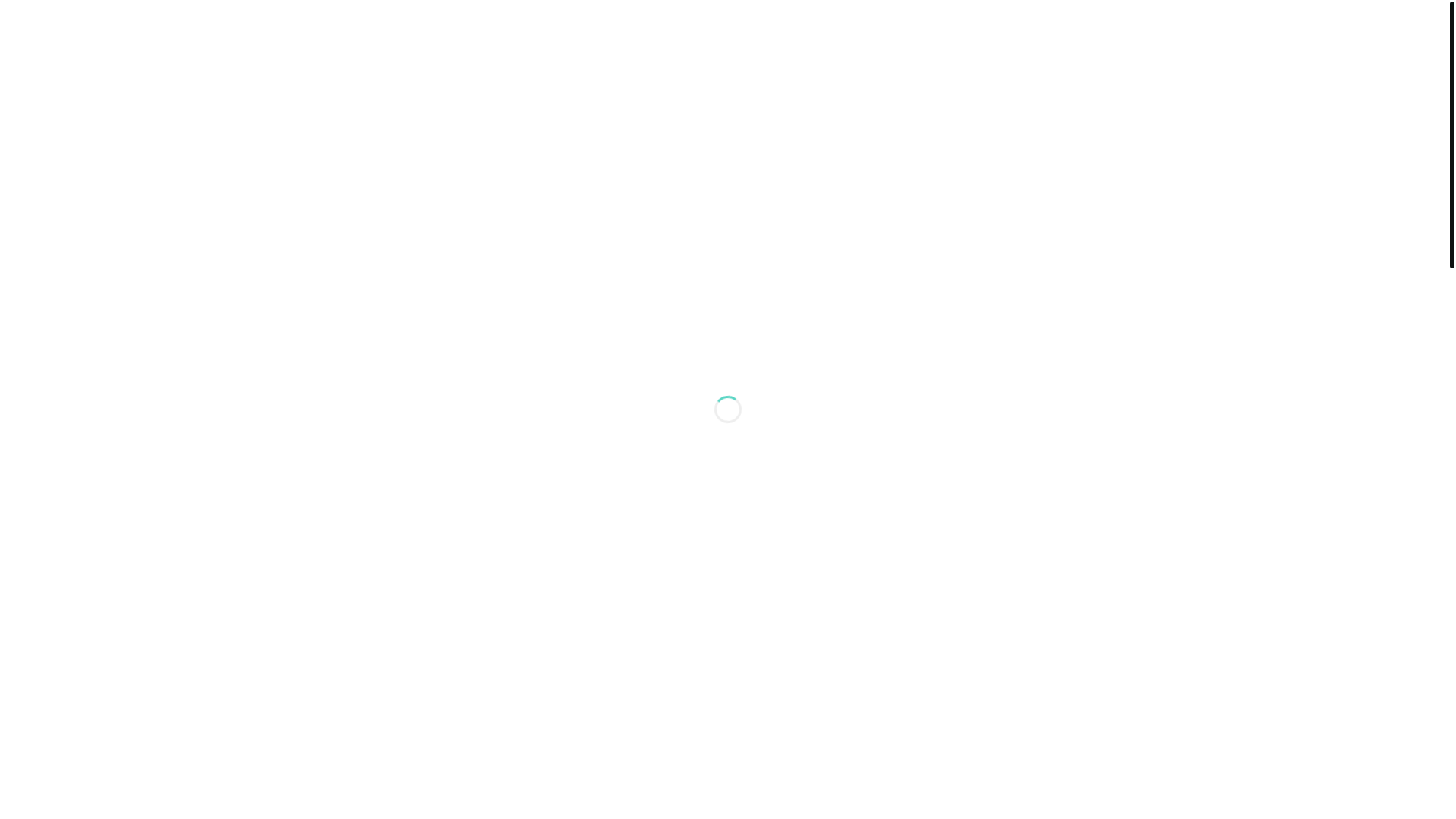 website screenshot of https://mamdouh-services.com/