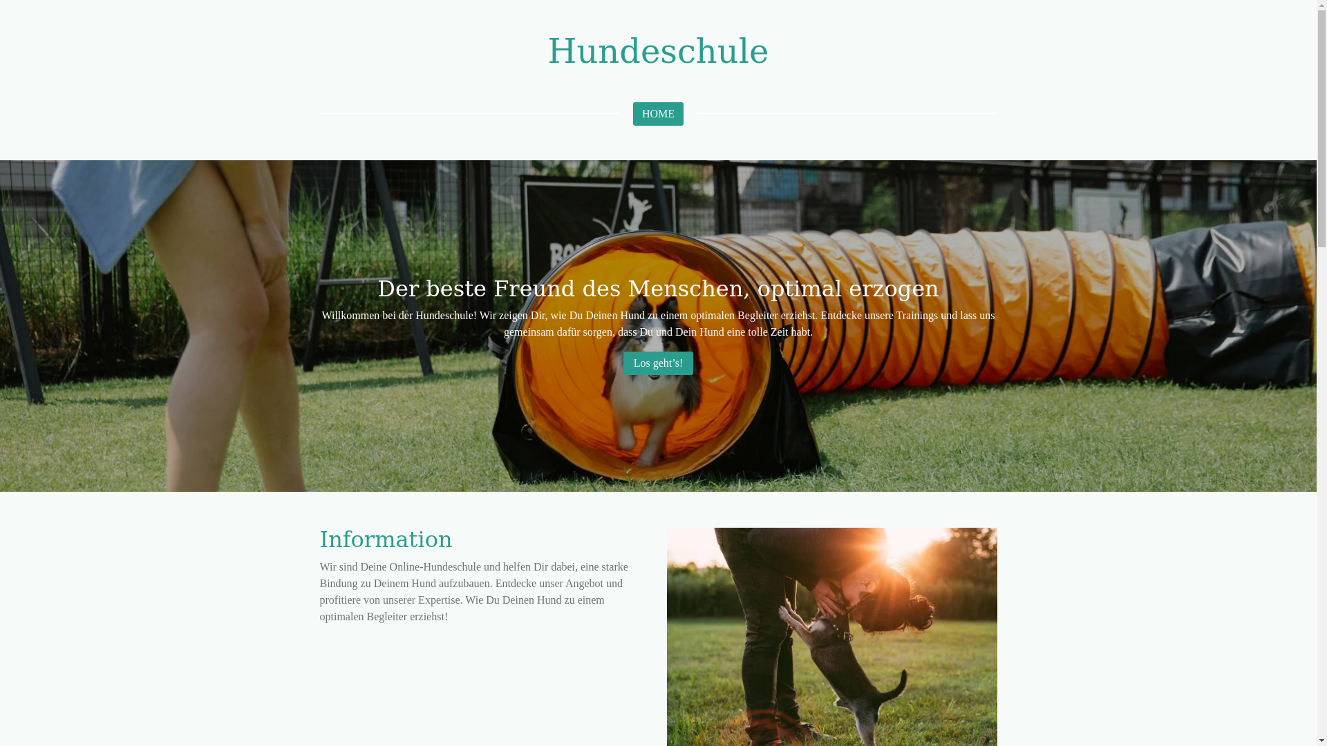 website screenshot of https://hundeschulevonzuhause.de/