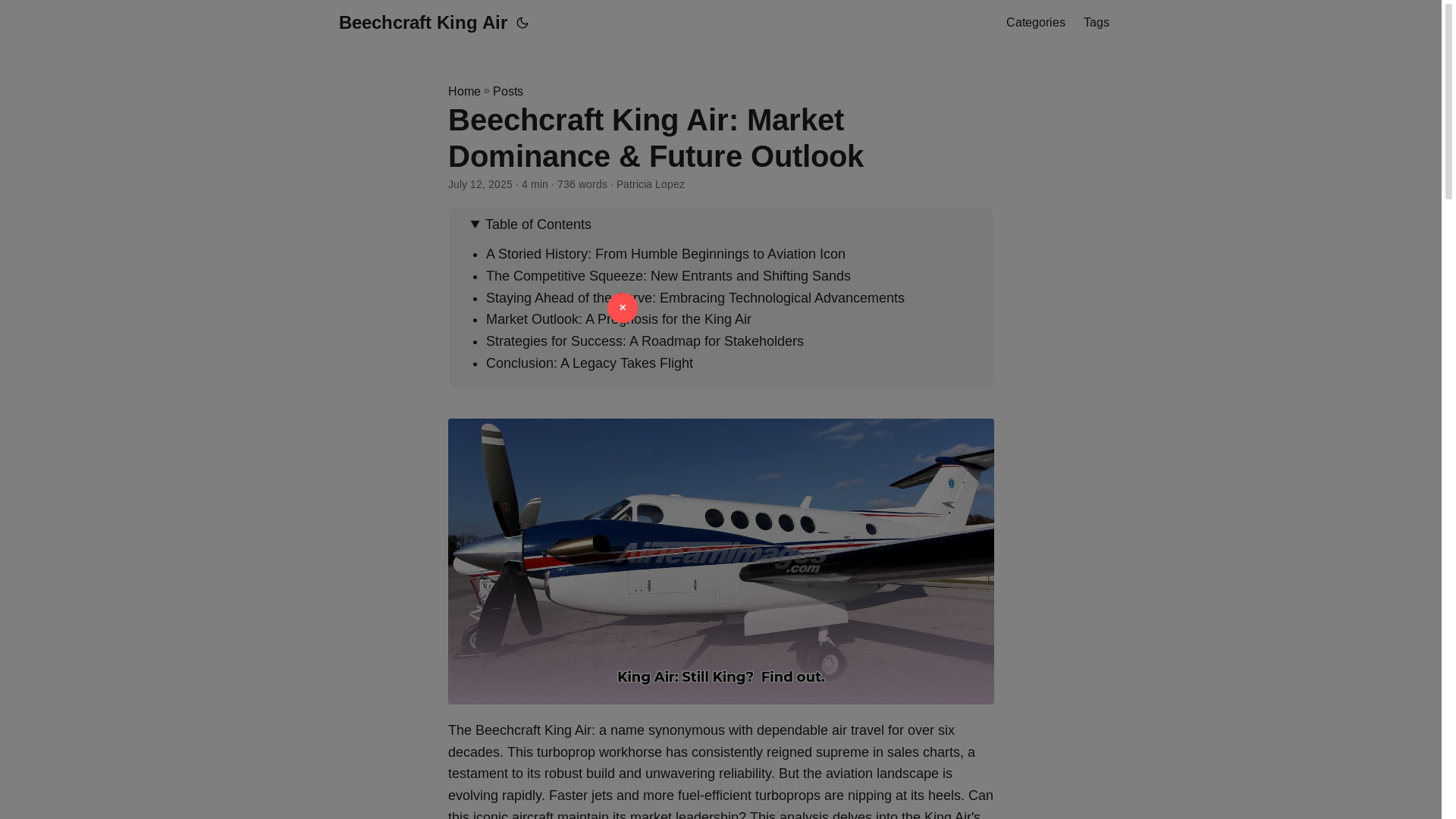 website screenshot of https://beechcraft-king-air.pages.dev/