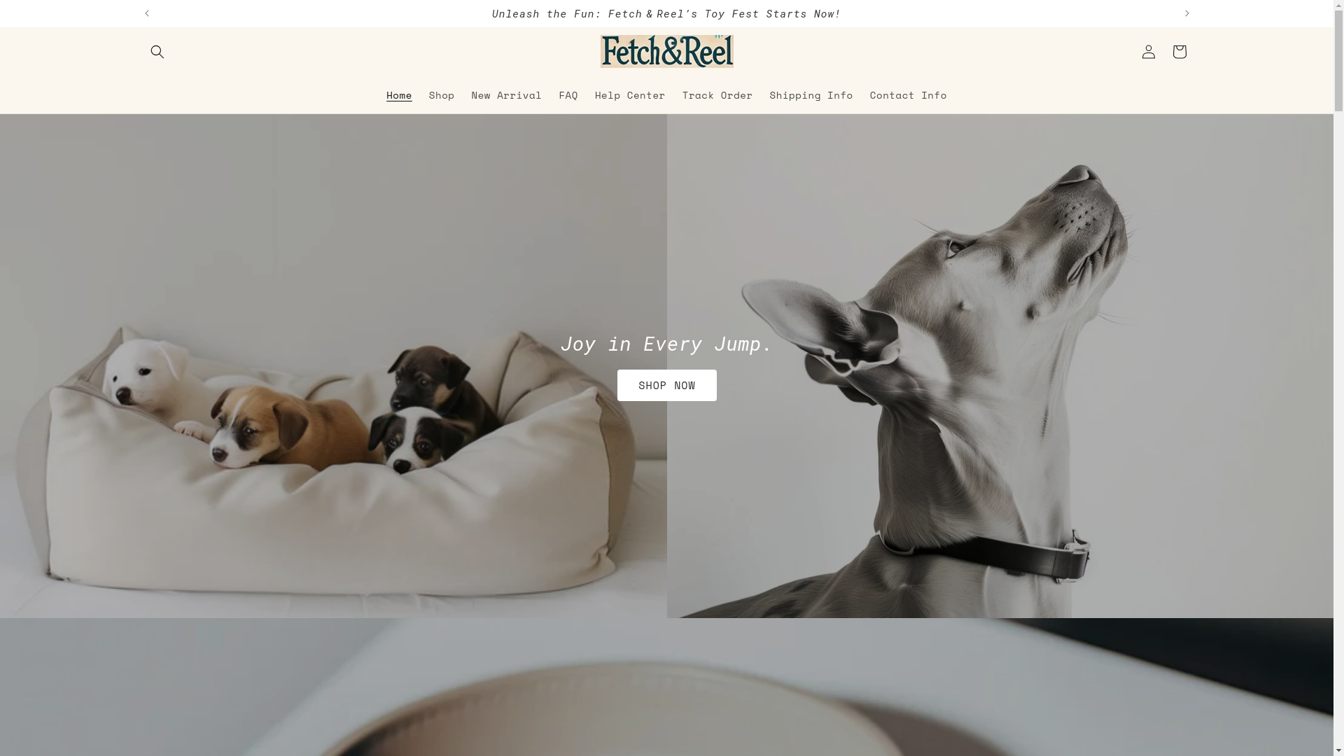 website screenshot of https://fetchreel.com/