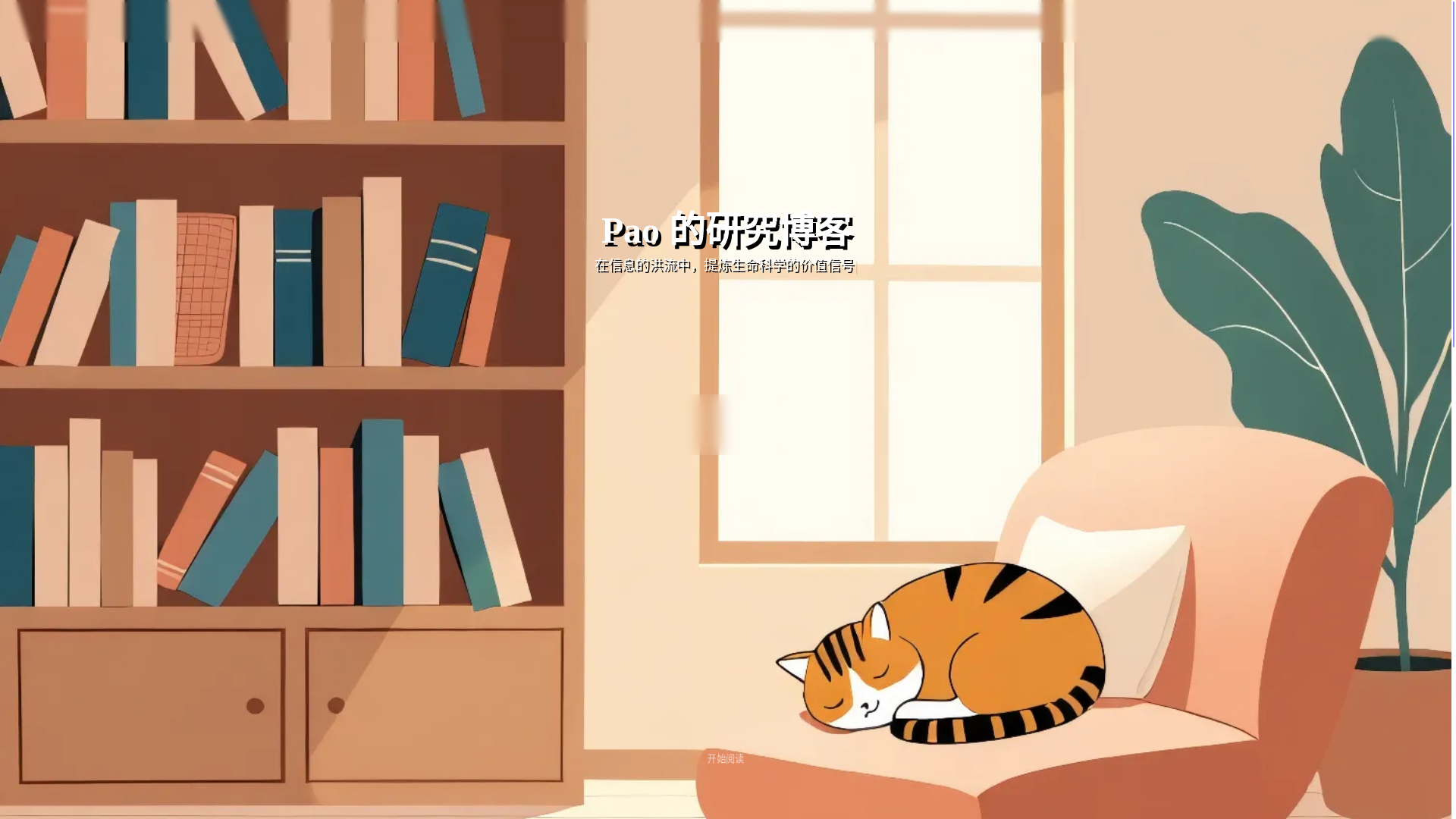 website screenshot of https://paoresearch.top/