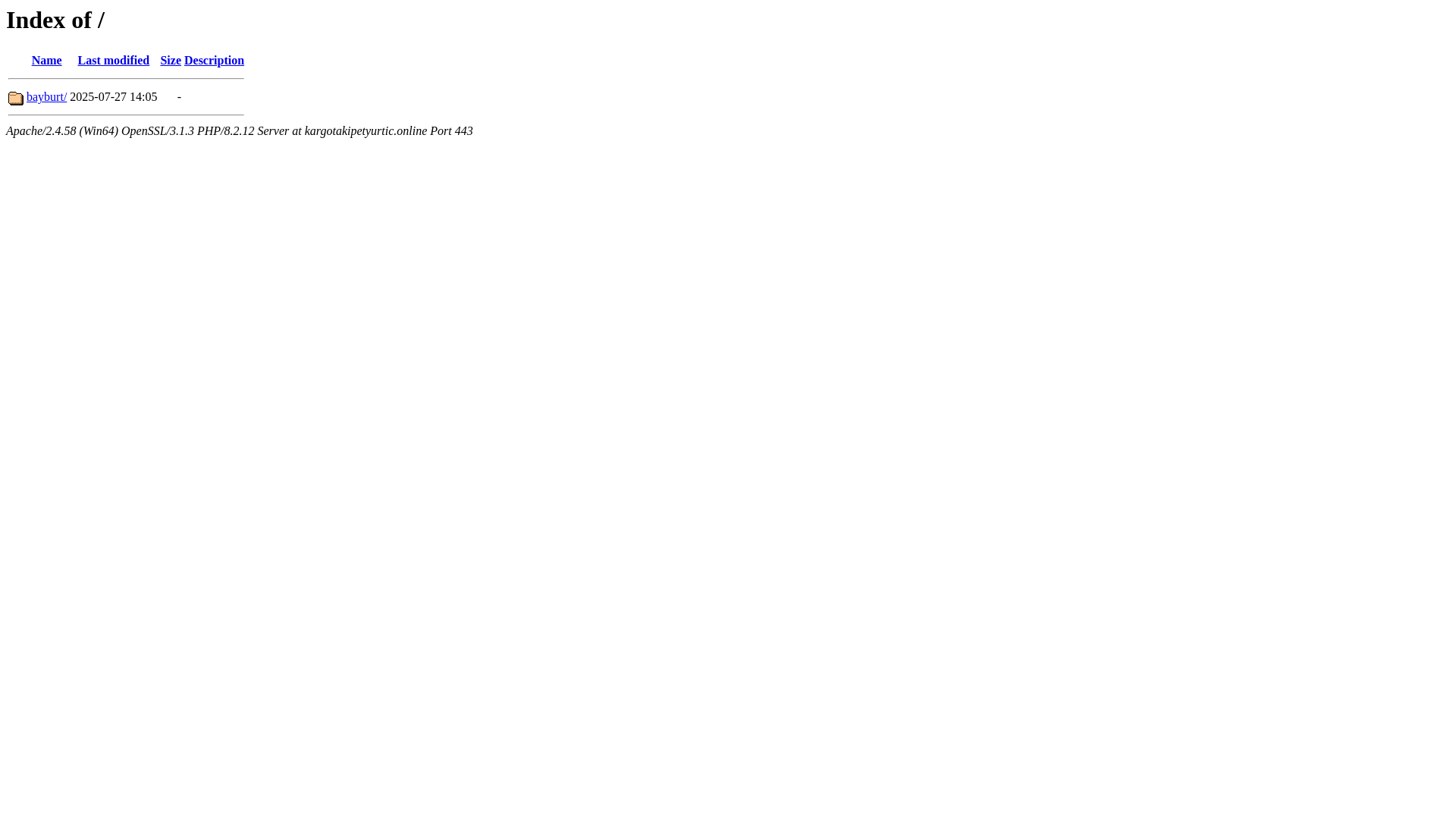 website screenshot of https://kargotakipetyurtic.online/