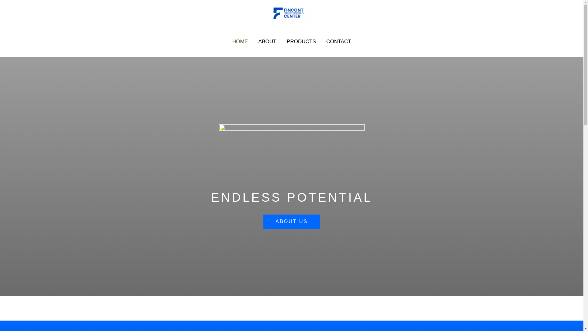website screenshot of https://fincontcentsrl.com/