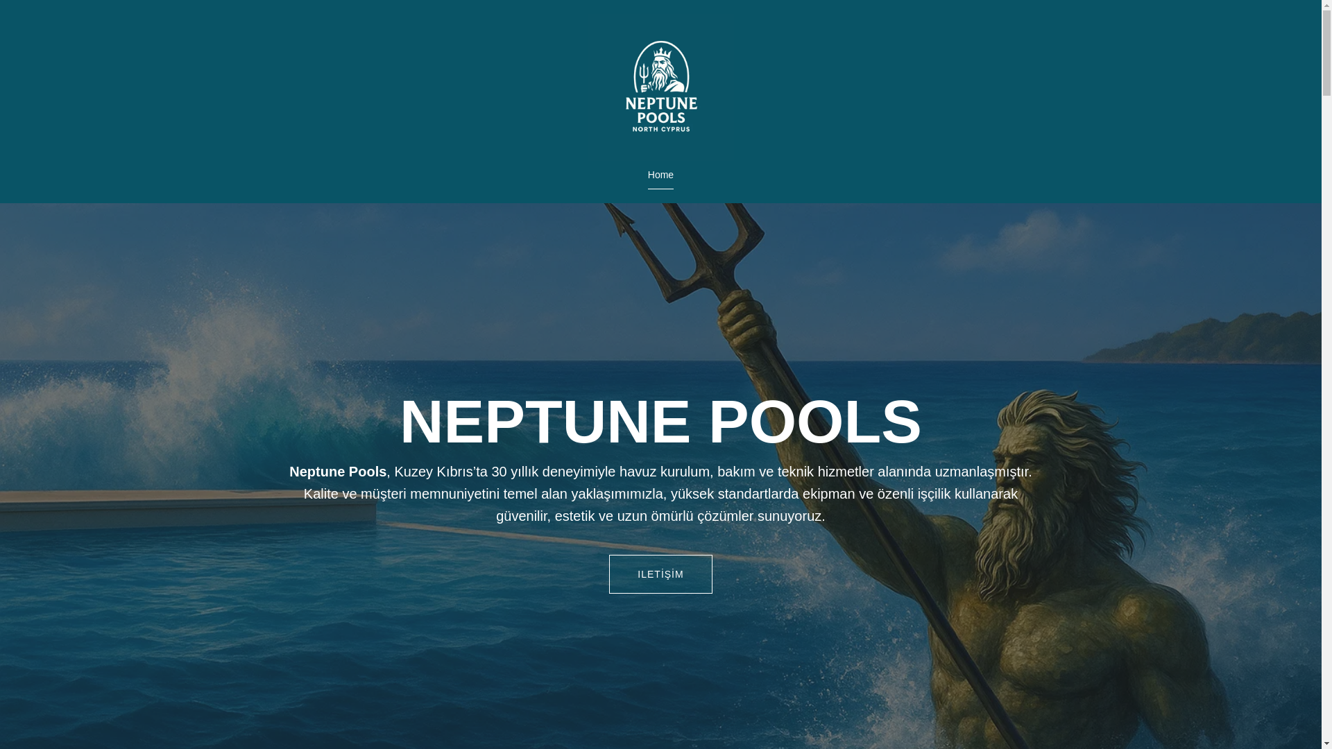 website screenshot of https://neptunepoolscy.com/