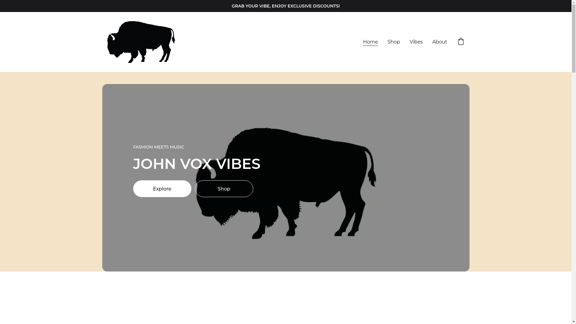 website screenshot of https://johnvoxbossvibe.com/