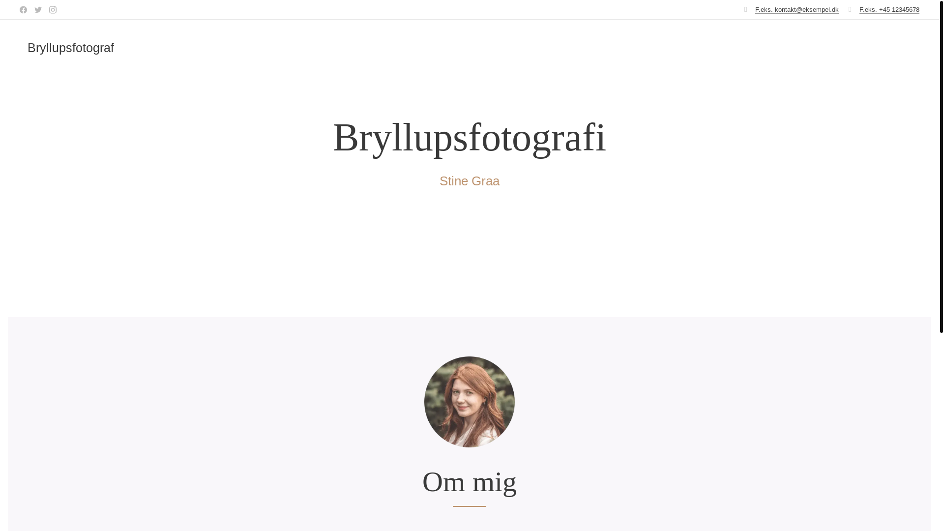 website screenshot of https://byvejlby.dk/