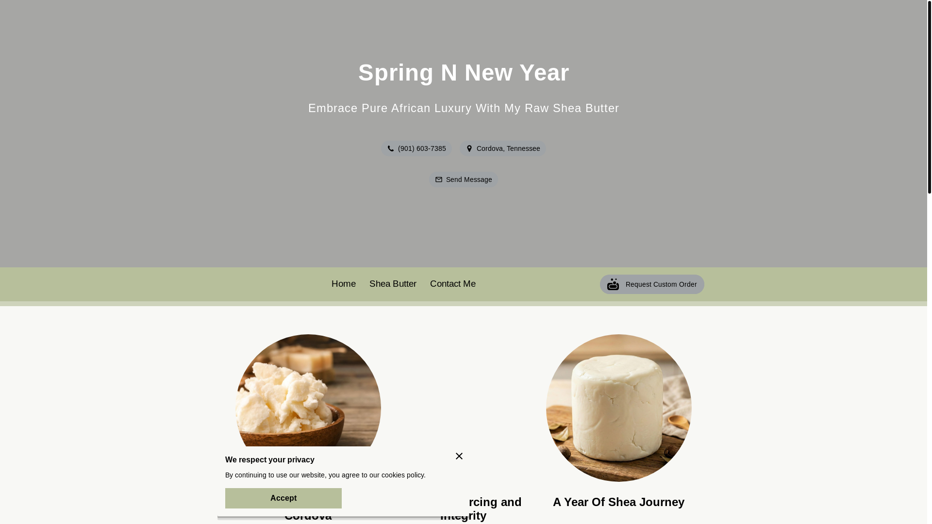 website screenshot of https://springnnewyear.com/