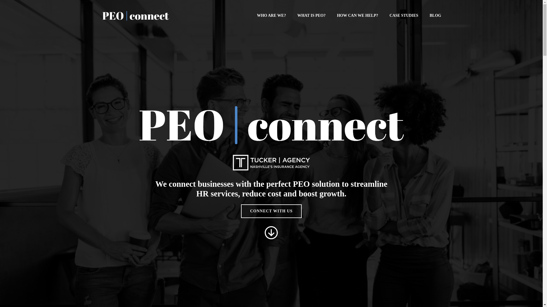 website screenshot of https://usepeoconnect.com/