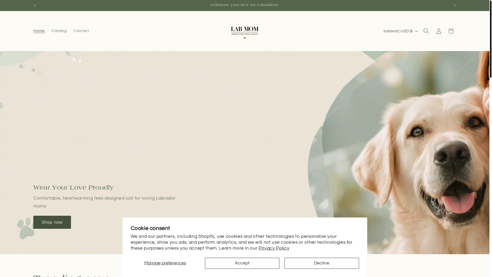 website screenshot of https://labmom.shop/