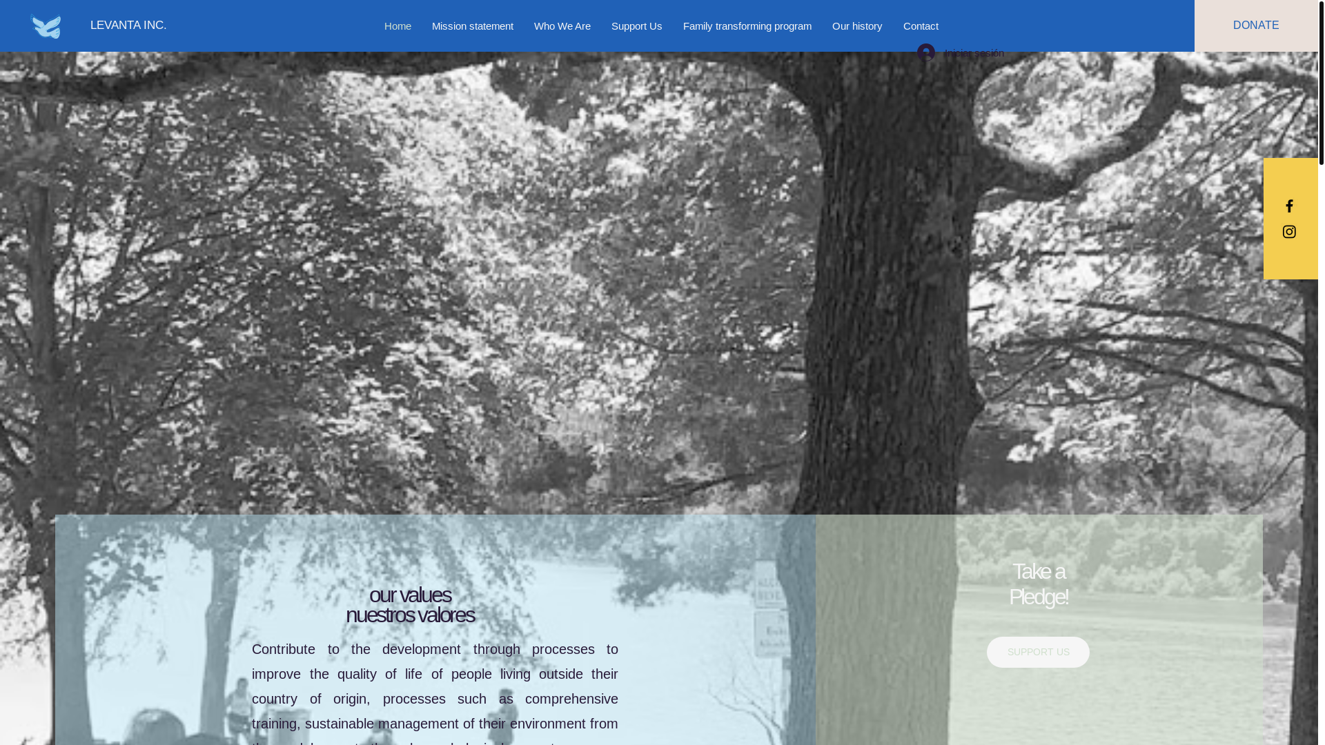 website screenshot of https://levantainc.com/