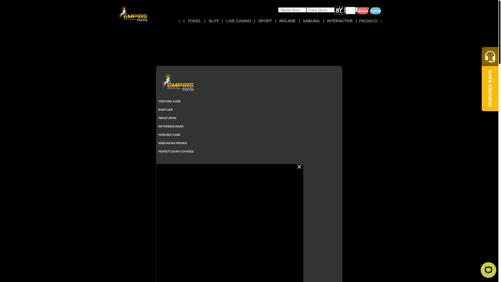 website screenshot of https://empirekaya.com/