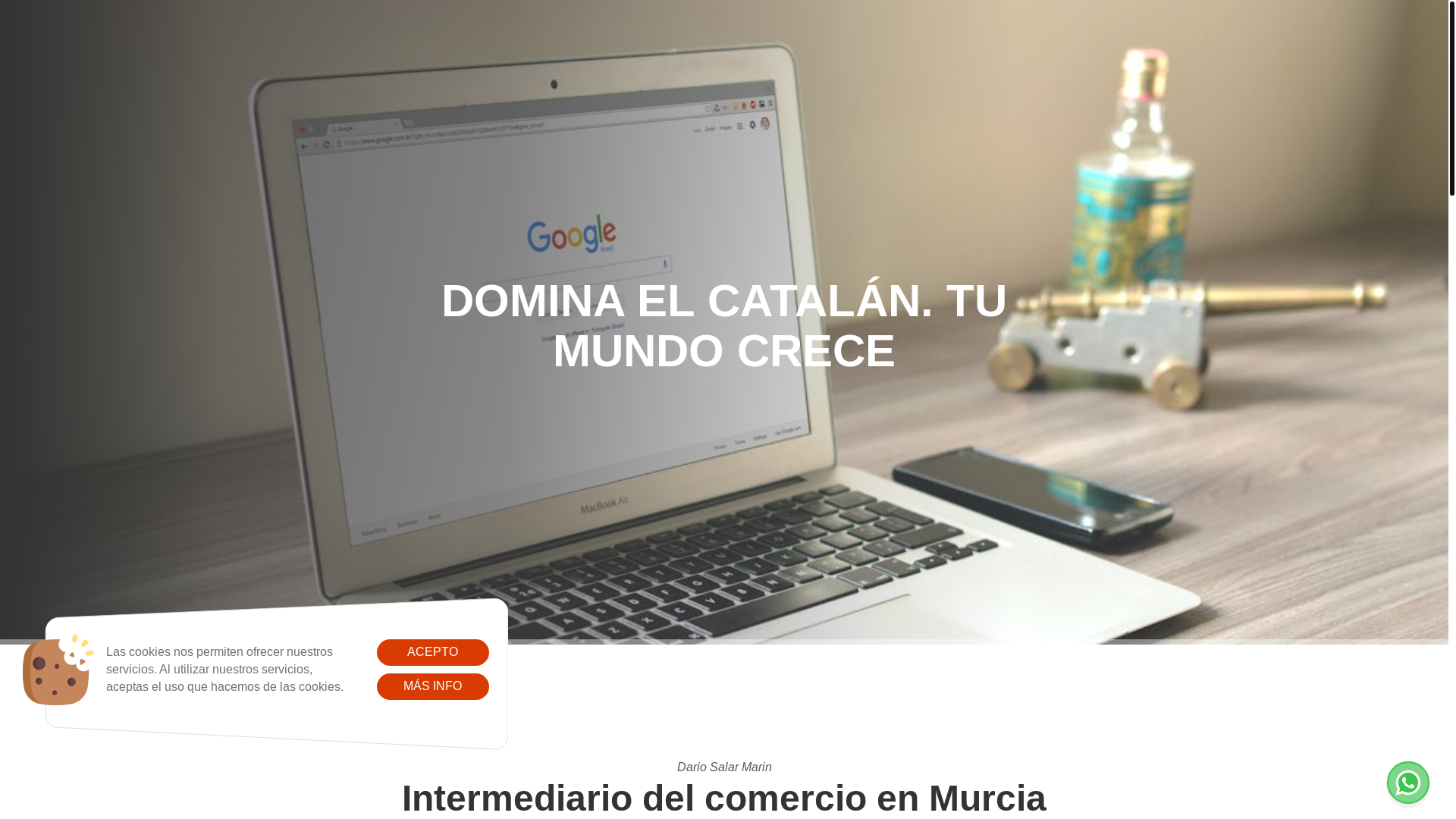 website screenshot of https://dariointermediario.es/