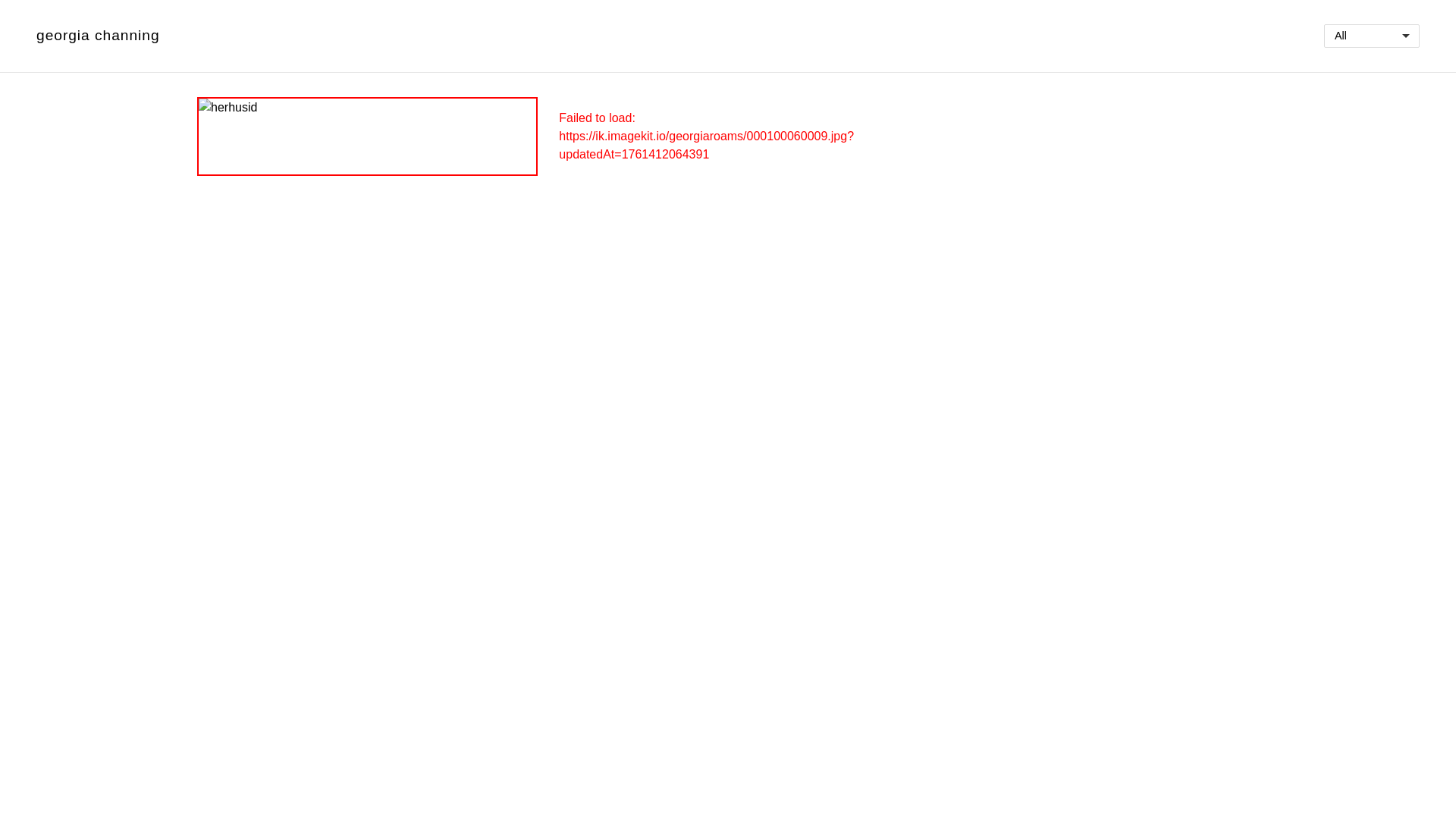 website screenshot of https://georgia-roams.pages.dev/