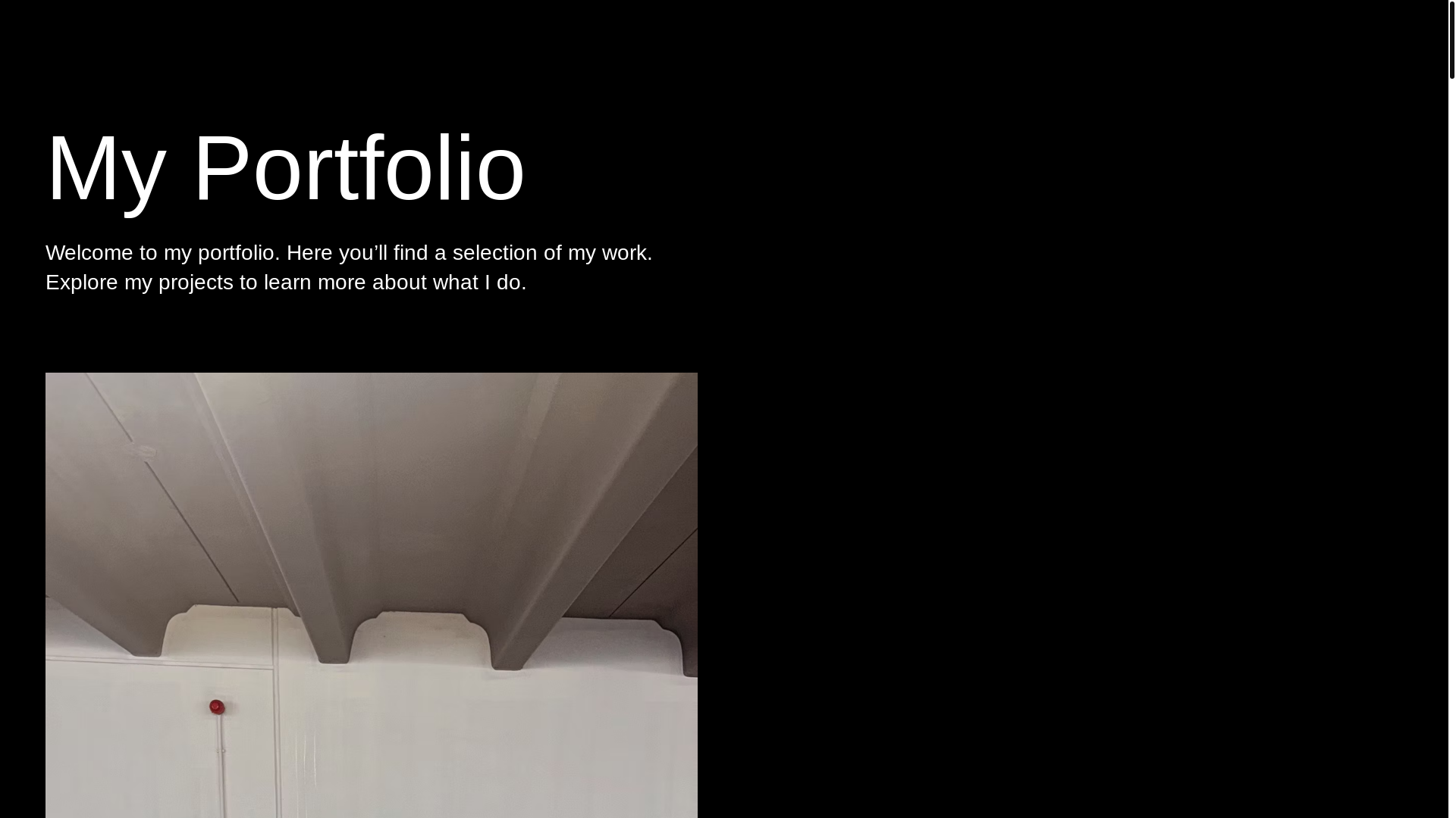 website screenshot of https://henrydunyowebsite.com/