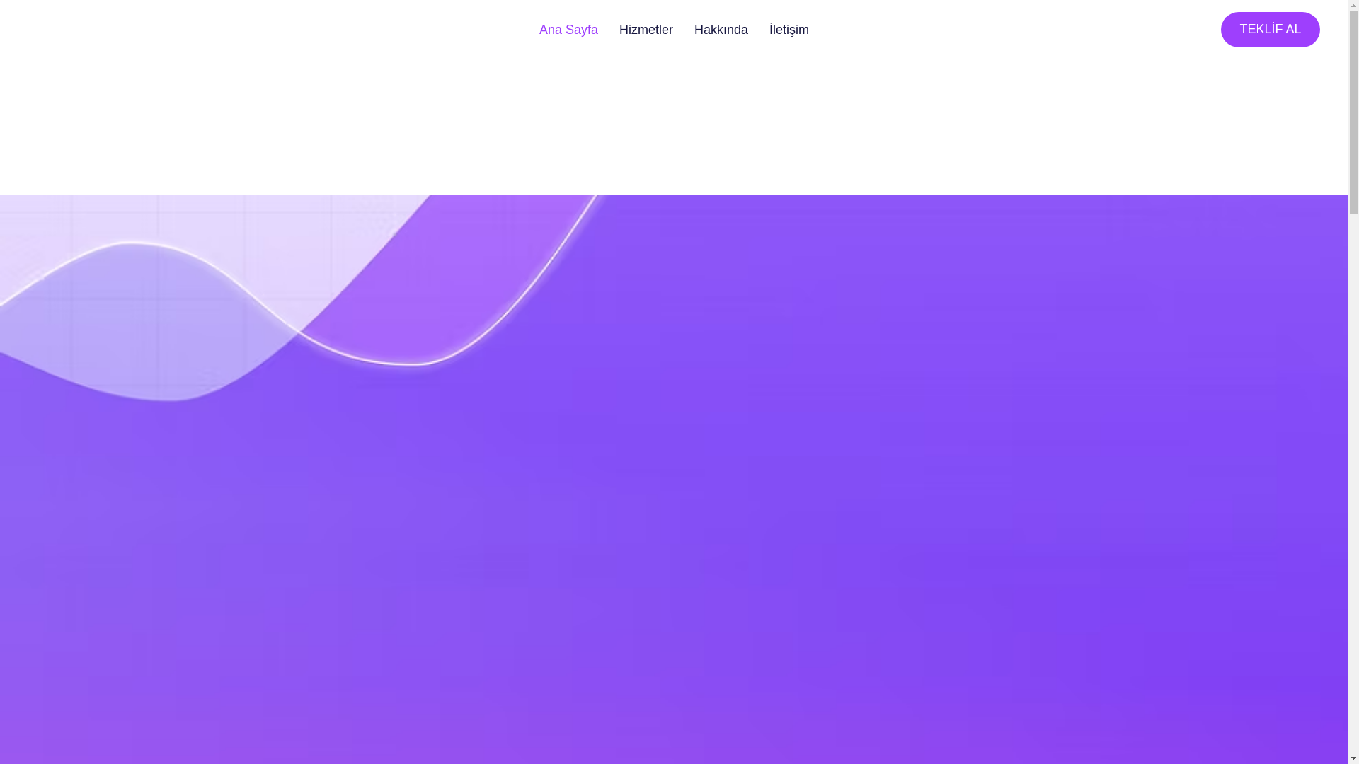 website screenshot of https://termelidersigorta.com/