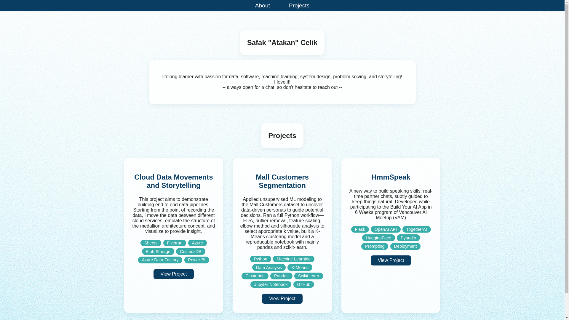 website screenshot of https://satakanc.com/