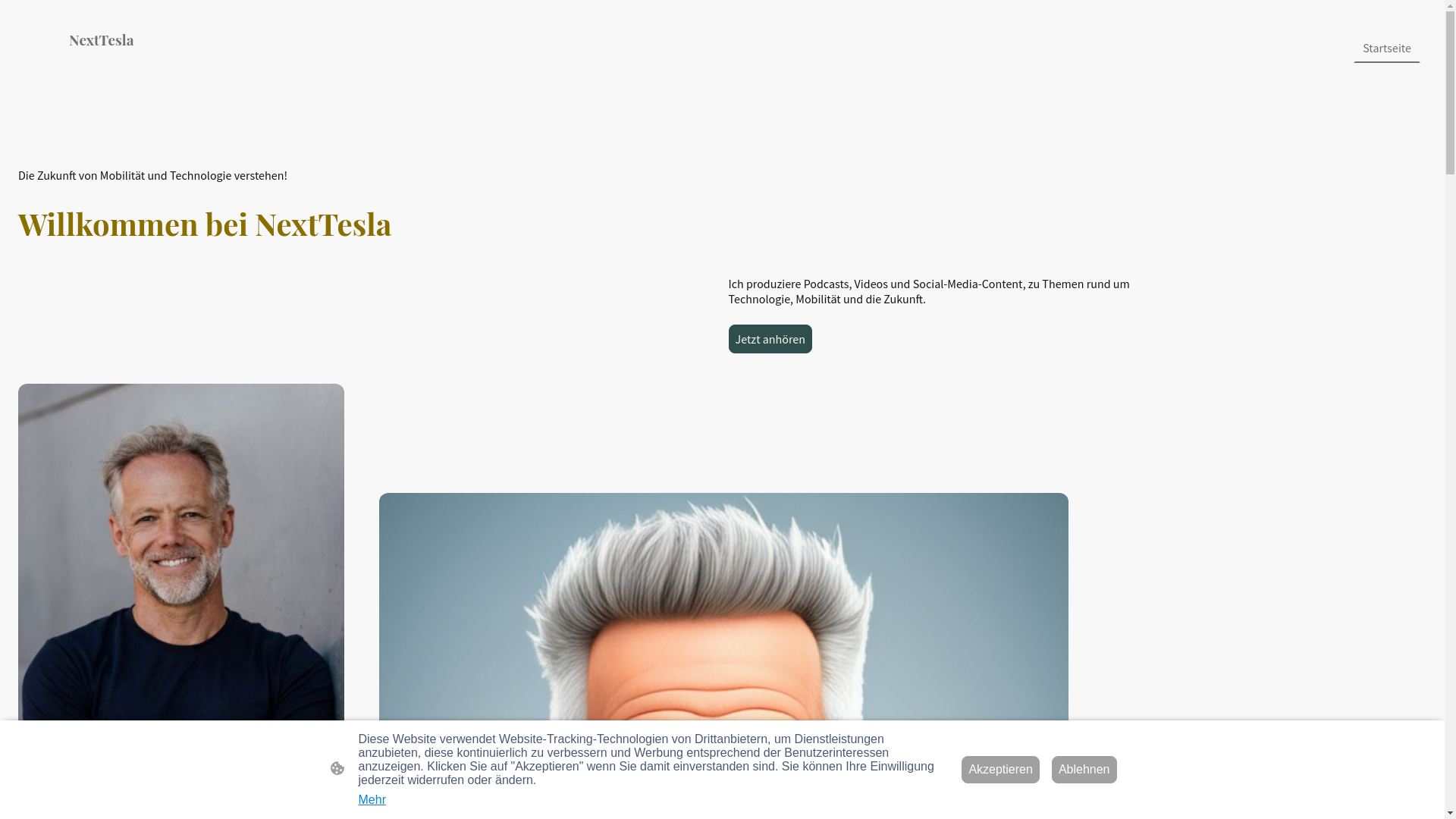 website screenshot of https://nexttesla.de/
