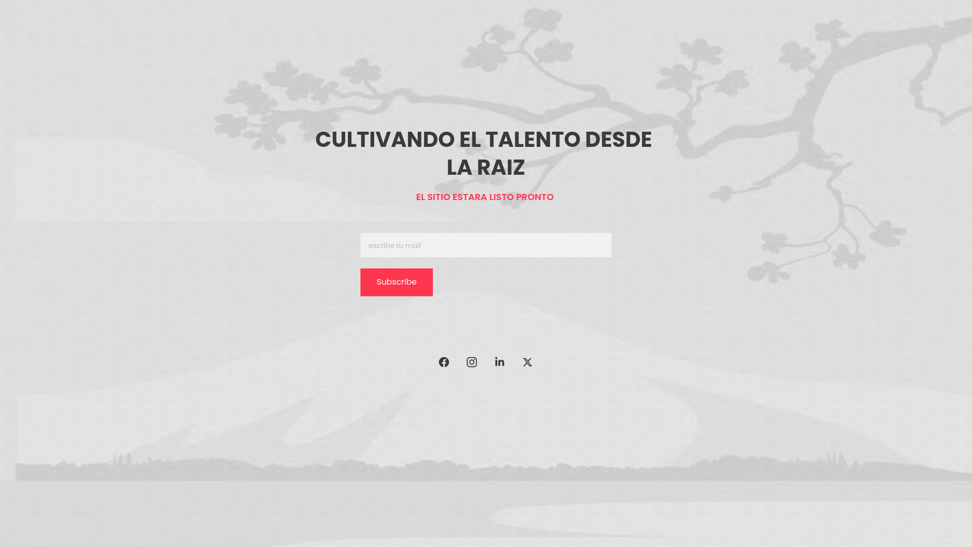 website screenshot of https://hanamicollective.com/