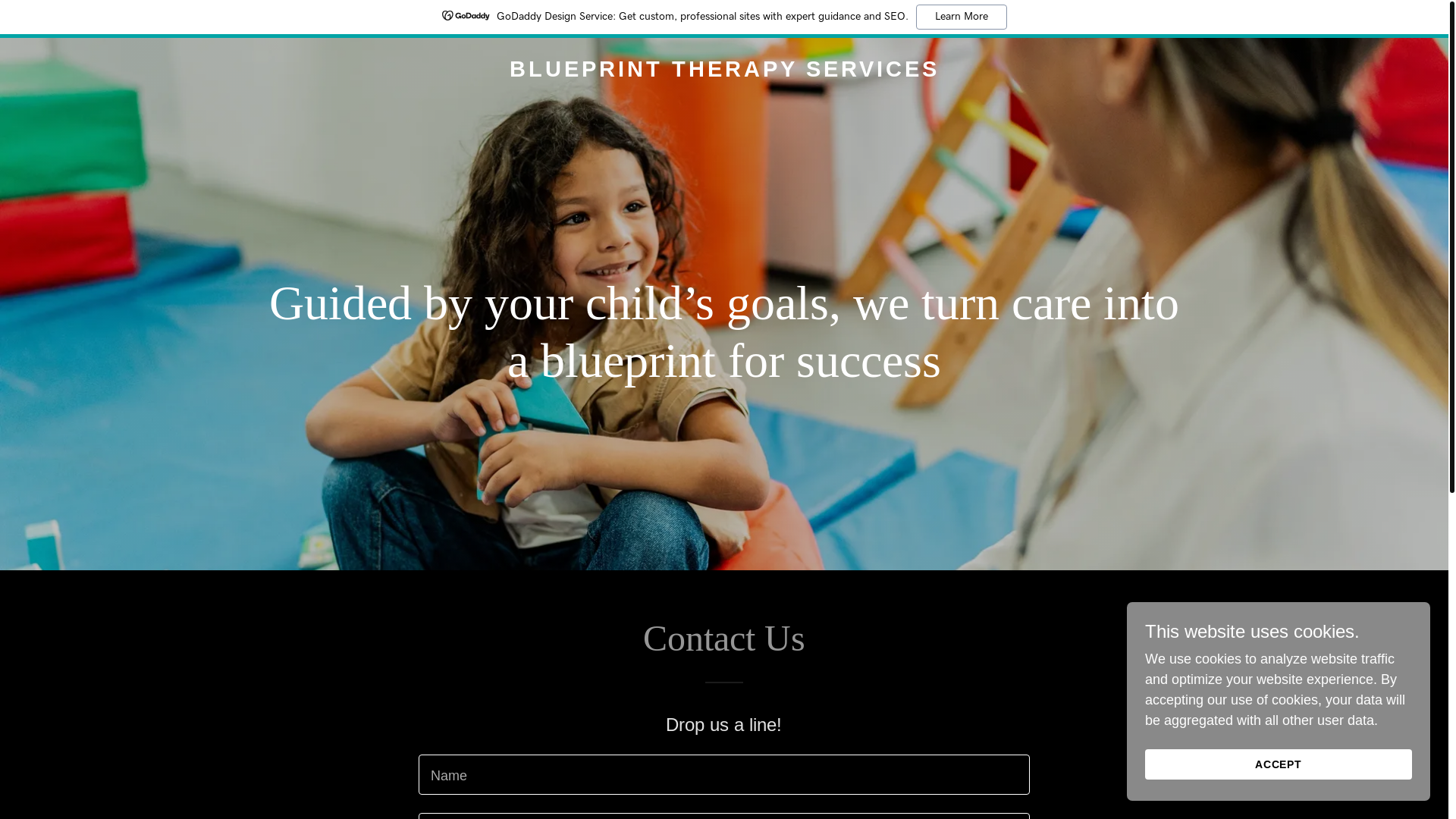 website screenshot of https://blueprinttherapy.com.au/