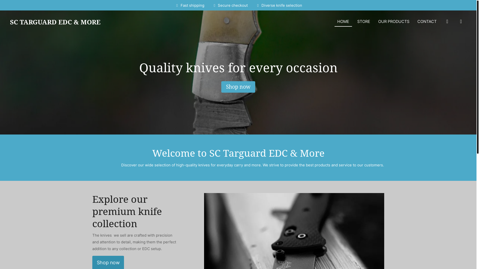 website screenshot of https://sctarguardedc.com/
