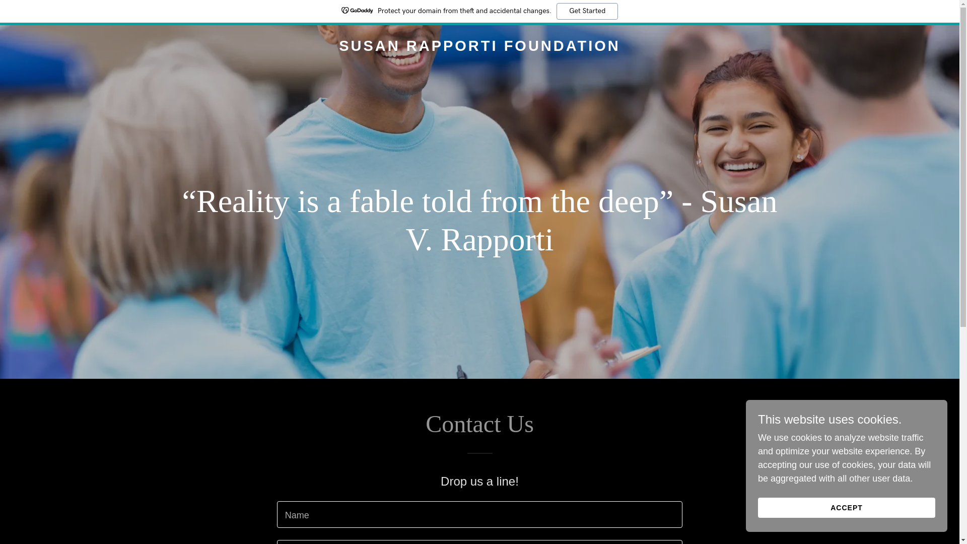 website screenshot of https://susanrapportifoundation.org/