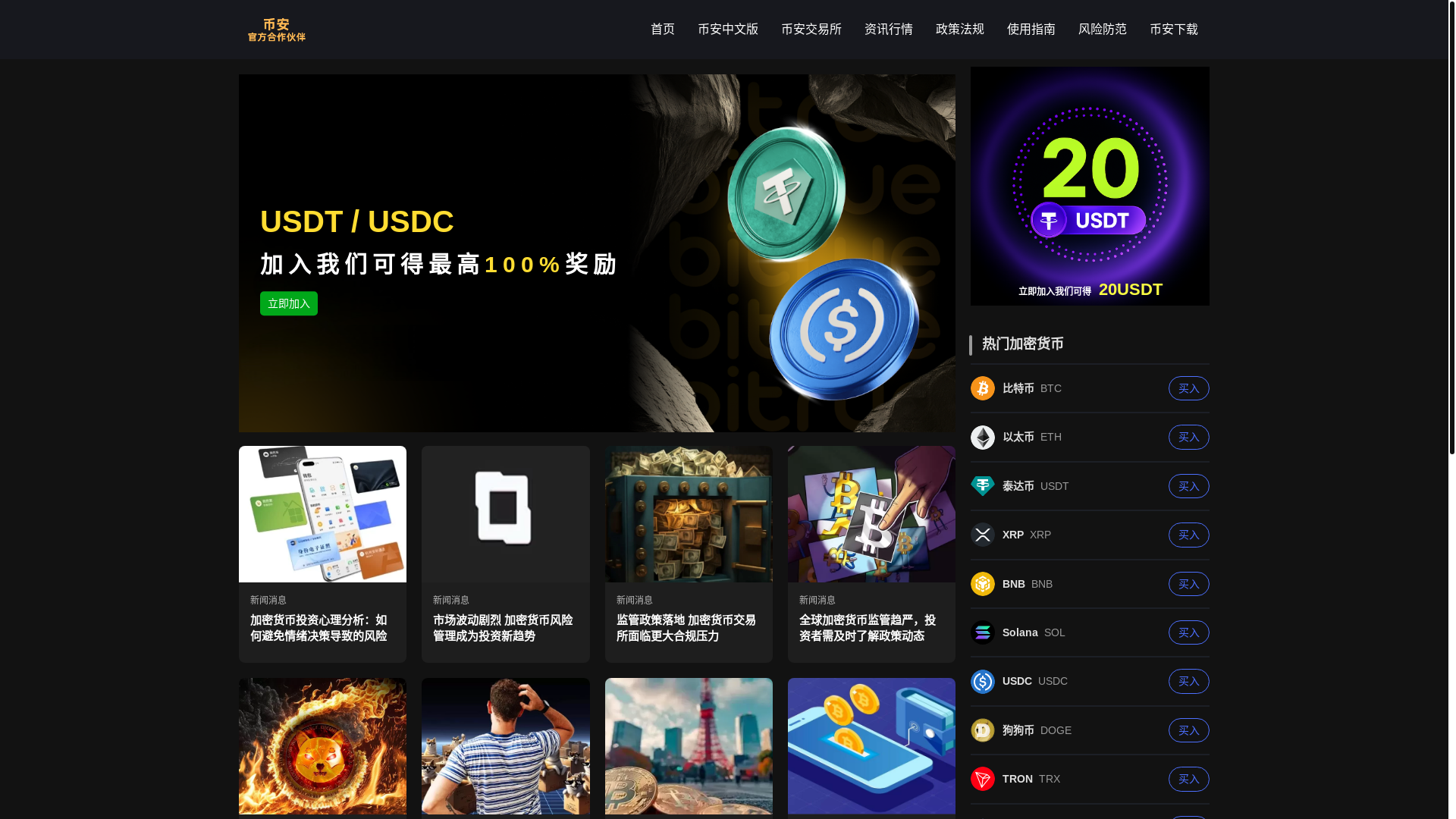 website screenshot of https://t9x-bian.com/