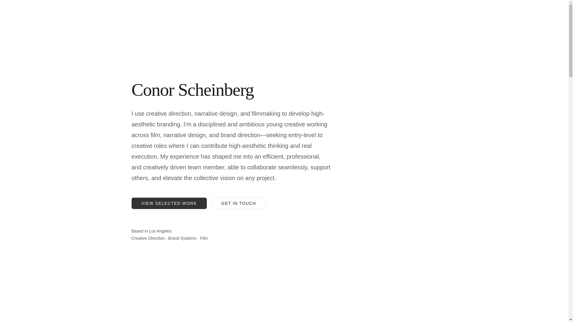 website screenshot of https://scheinbergcreative.com/