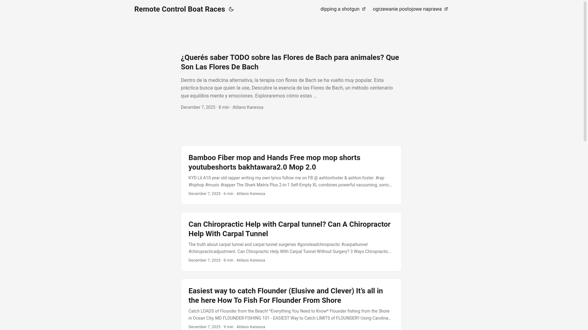 website screenshot of https://remotecontrolboatraces.pages.dev/