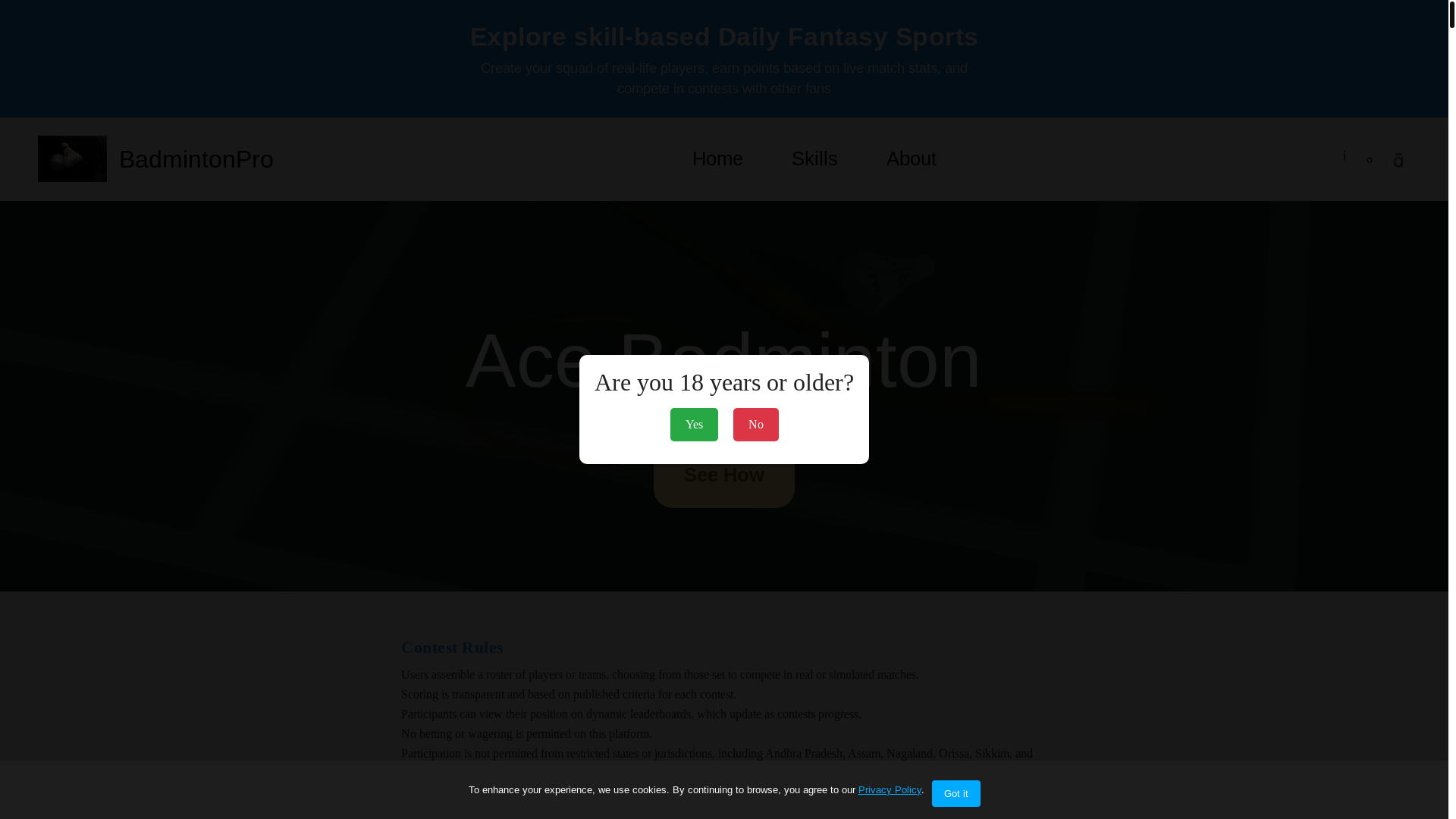 website screenshot of https://badmintonsideefficiency.com/
