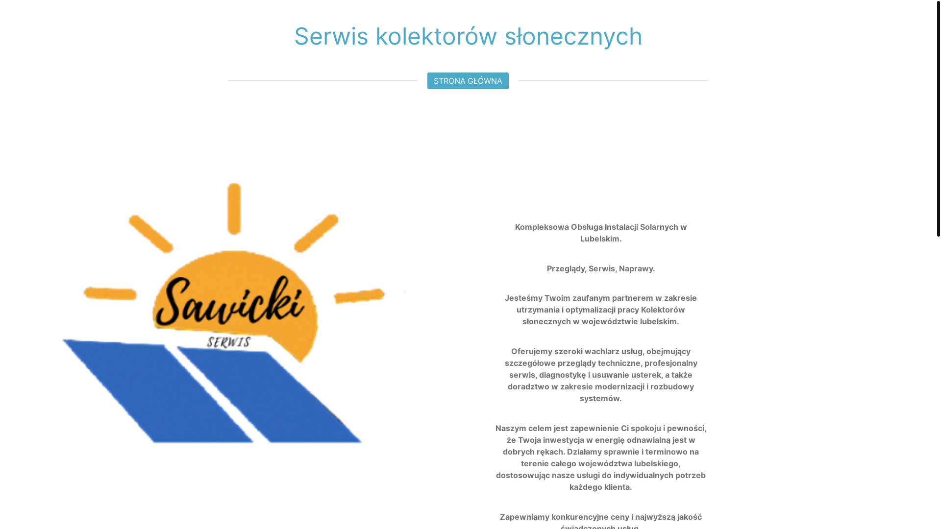 website screenshot of https://sawicki-serwis.com/