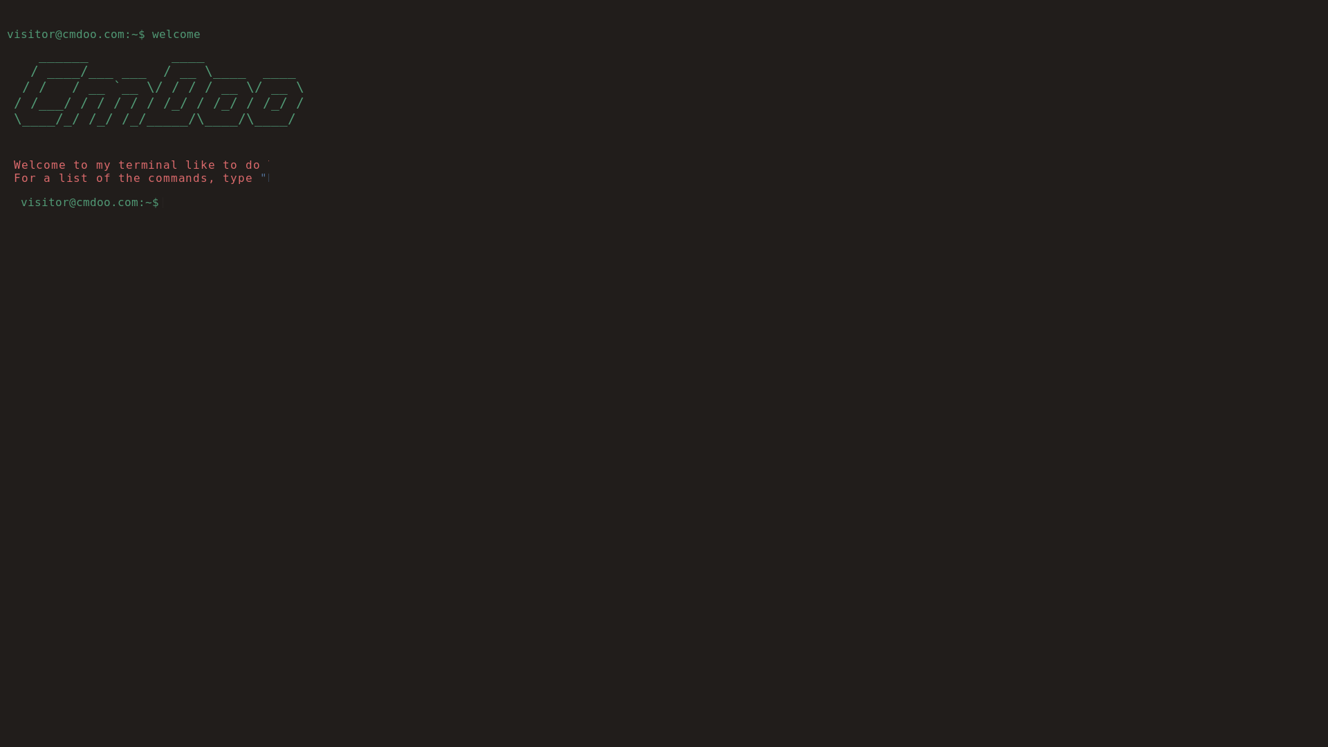 website screenshot of https://testterminal.pages.dev/
