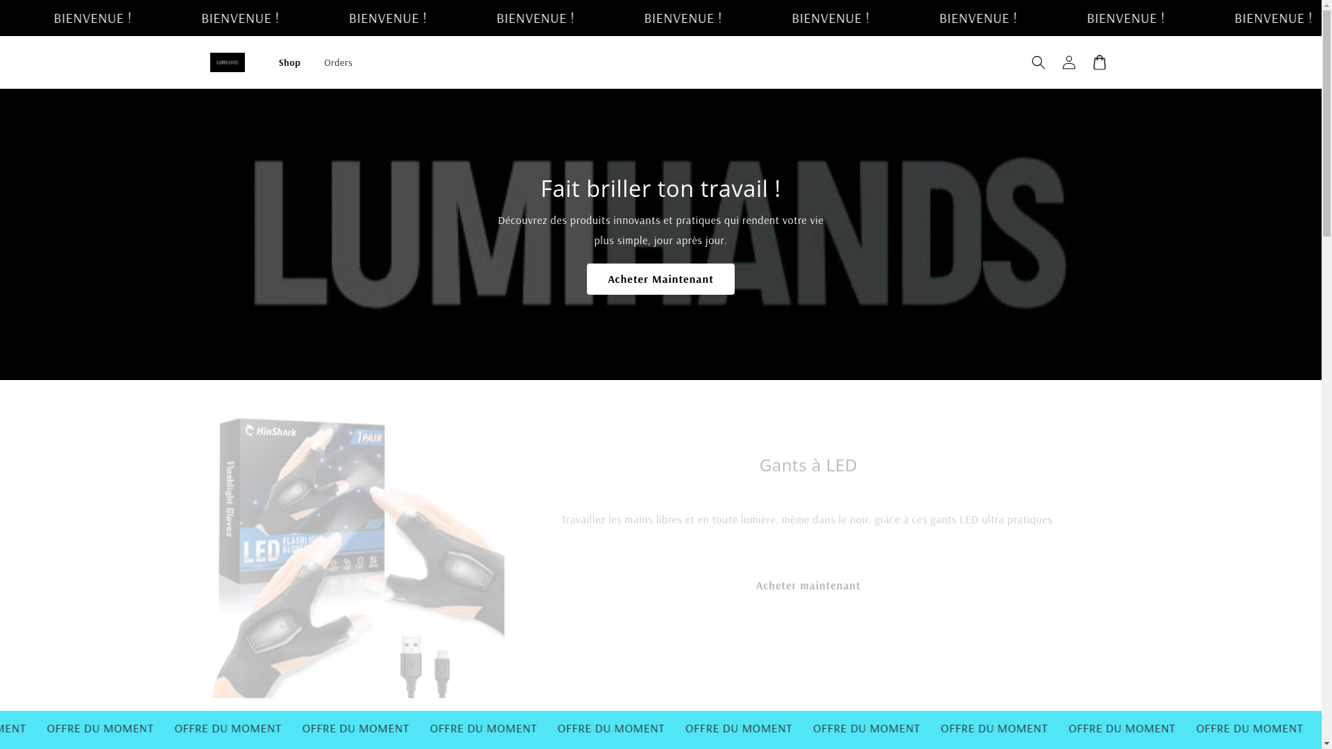 website screenshot of https://lumi-hands.com/