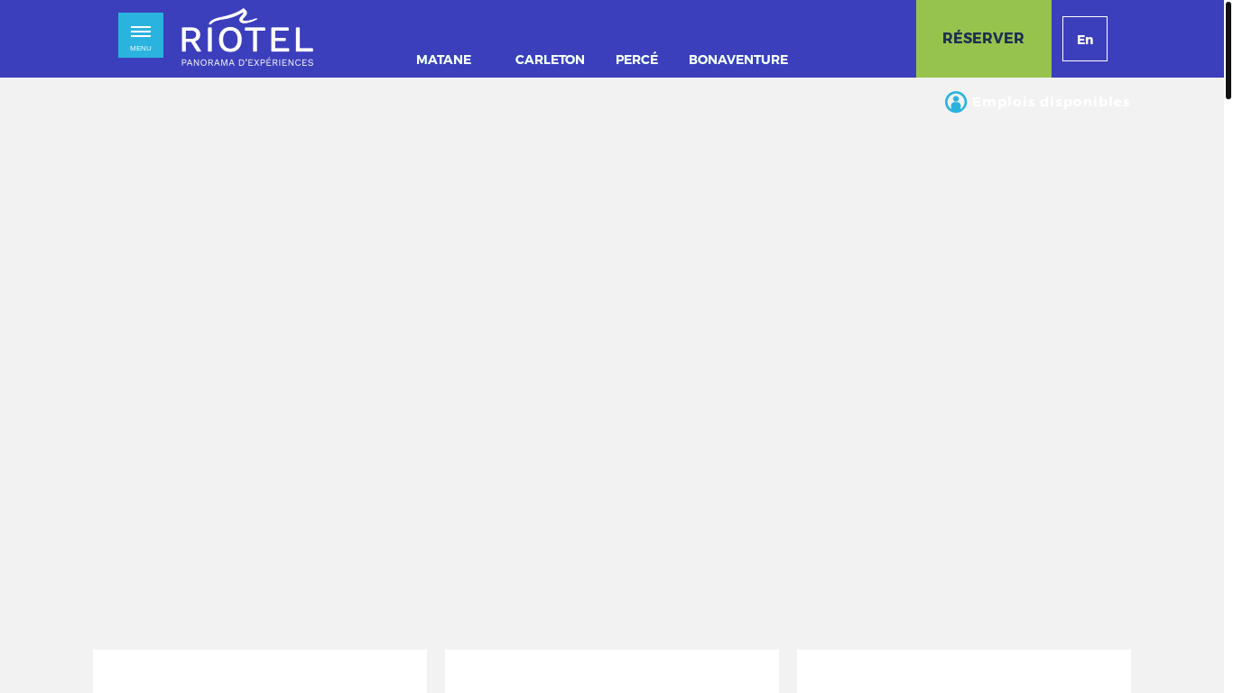website screenshot of https://www.riotel.com/