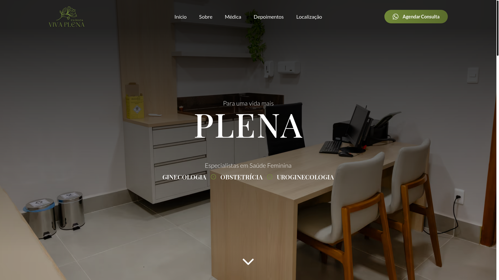 website screenshot of https://viva-plena.pages.dev/