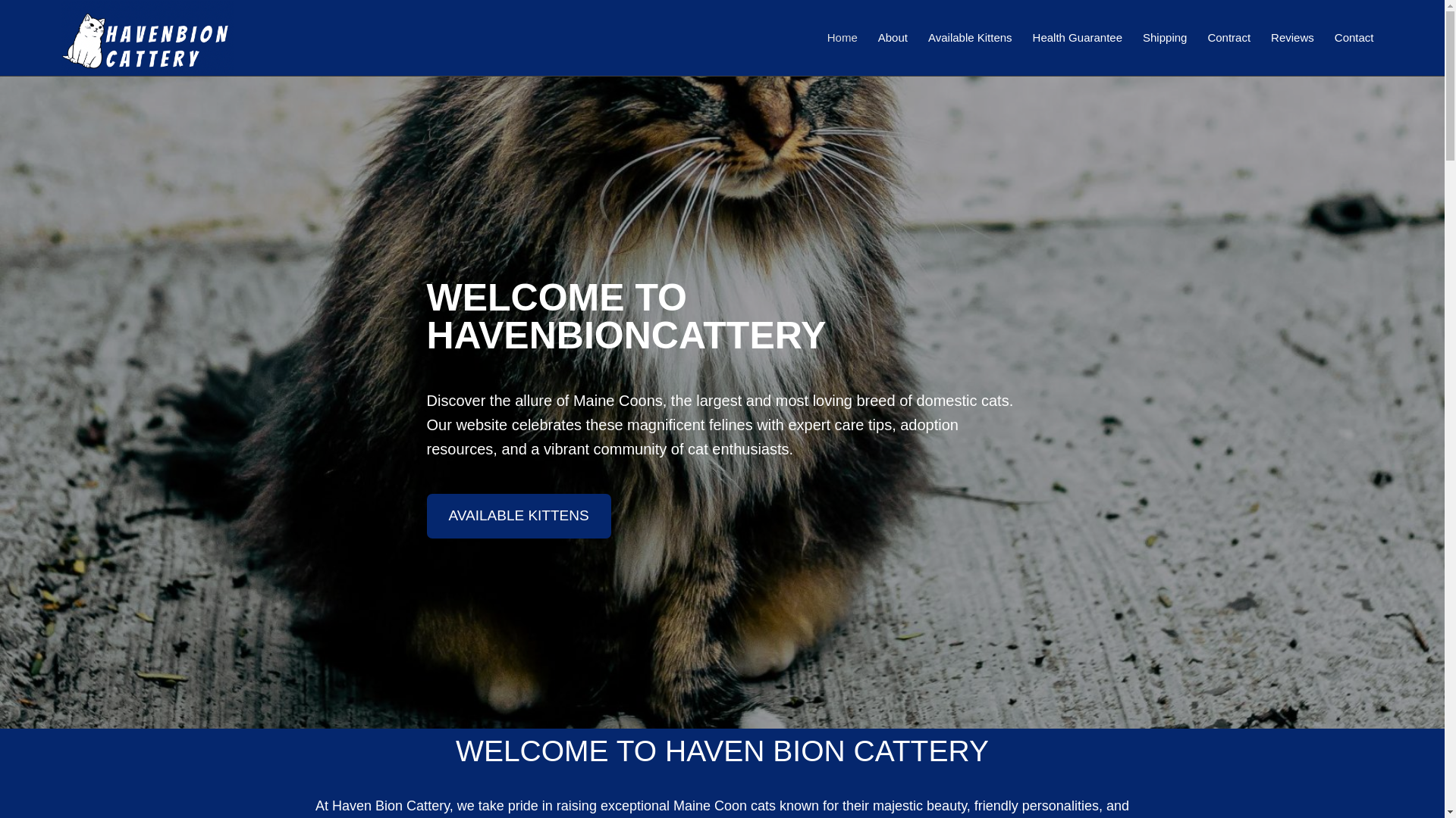 website screenshot of https://florascoonscattery.com/